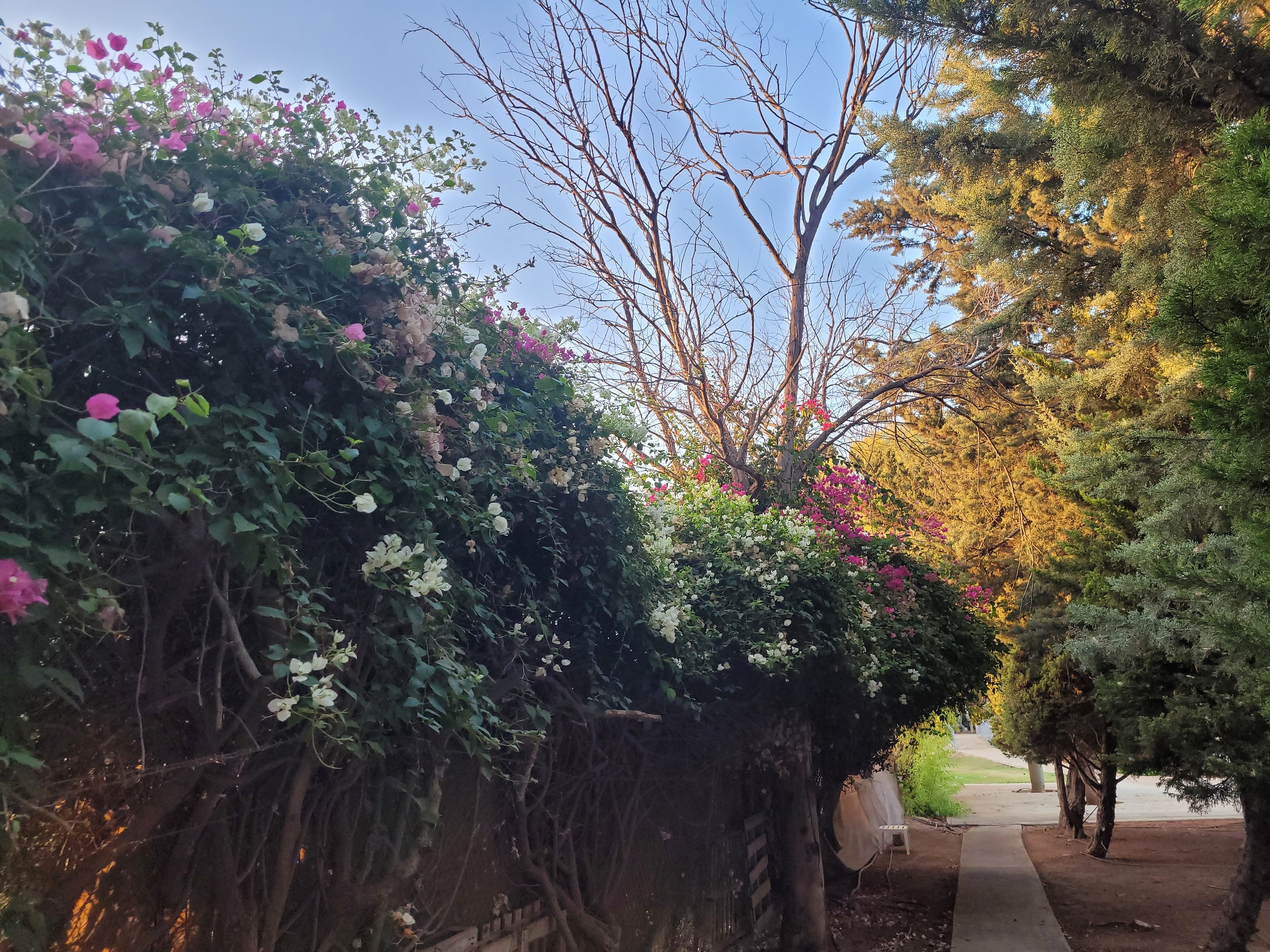 Tserkezoi, Cyprus