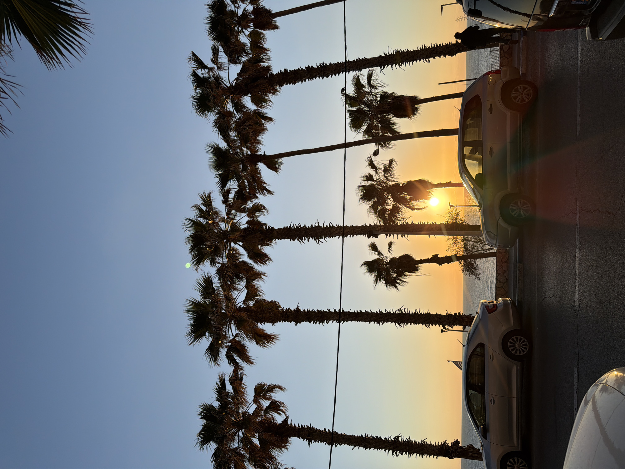 Sunset palms and bakery display captured in Bat Yam