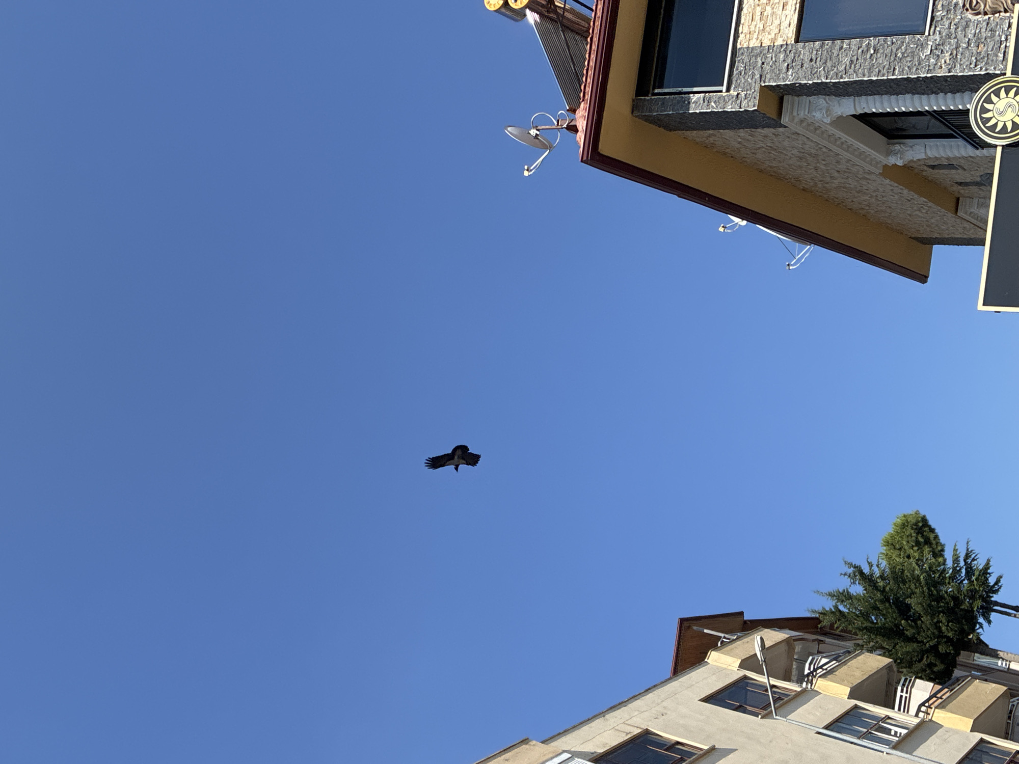 Morning life unfolds across Alanya's Mediterranean coastline and streets