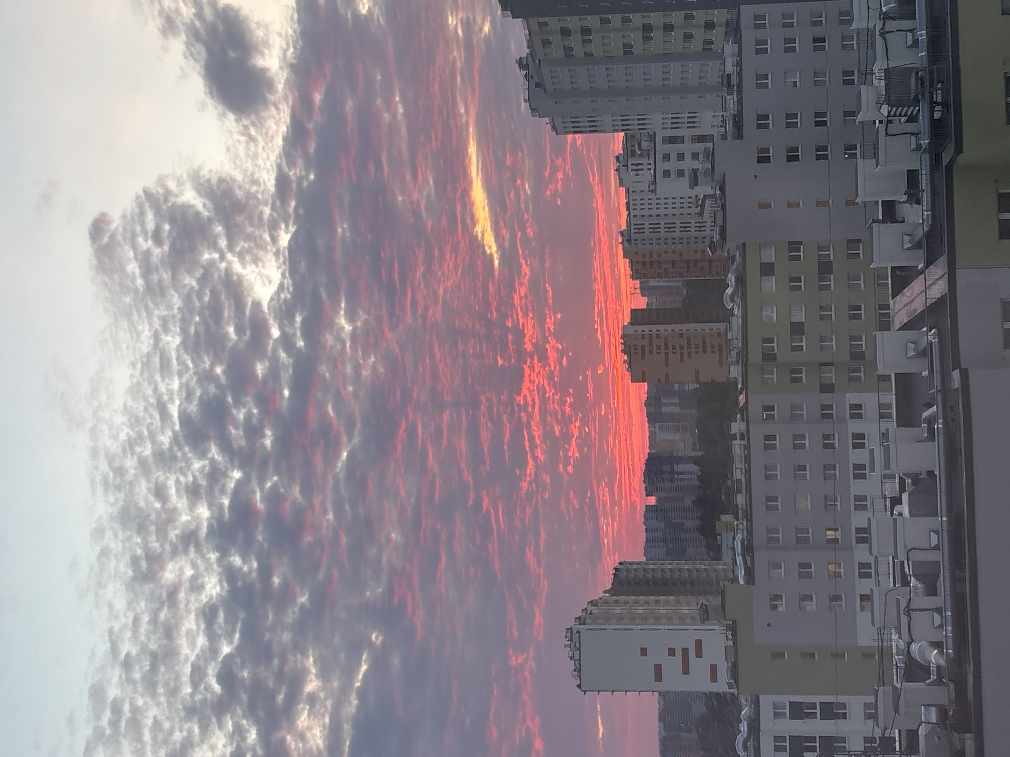 Evening scenes captured in Sinyavino: sunset, dessert, road travel