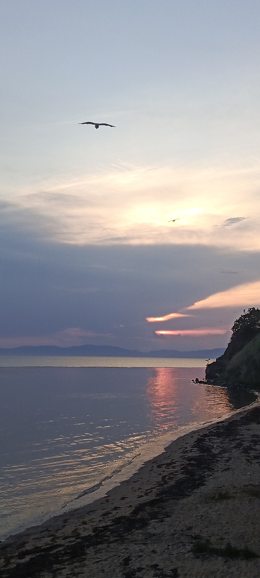 Sunset over calm ocean water, multiple angles