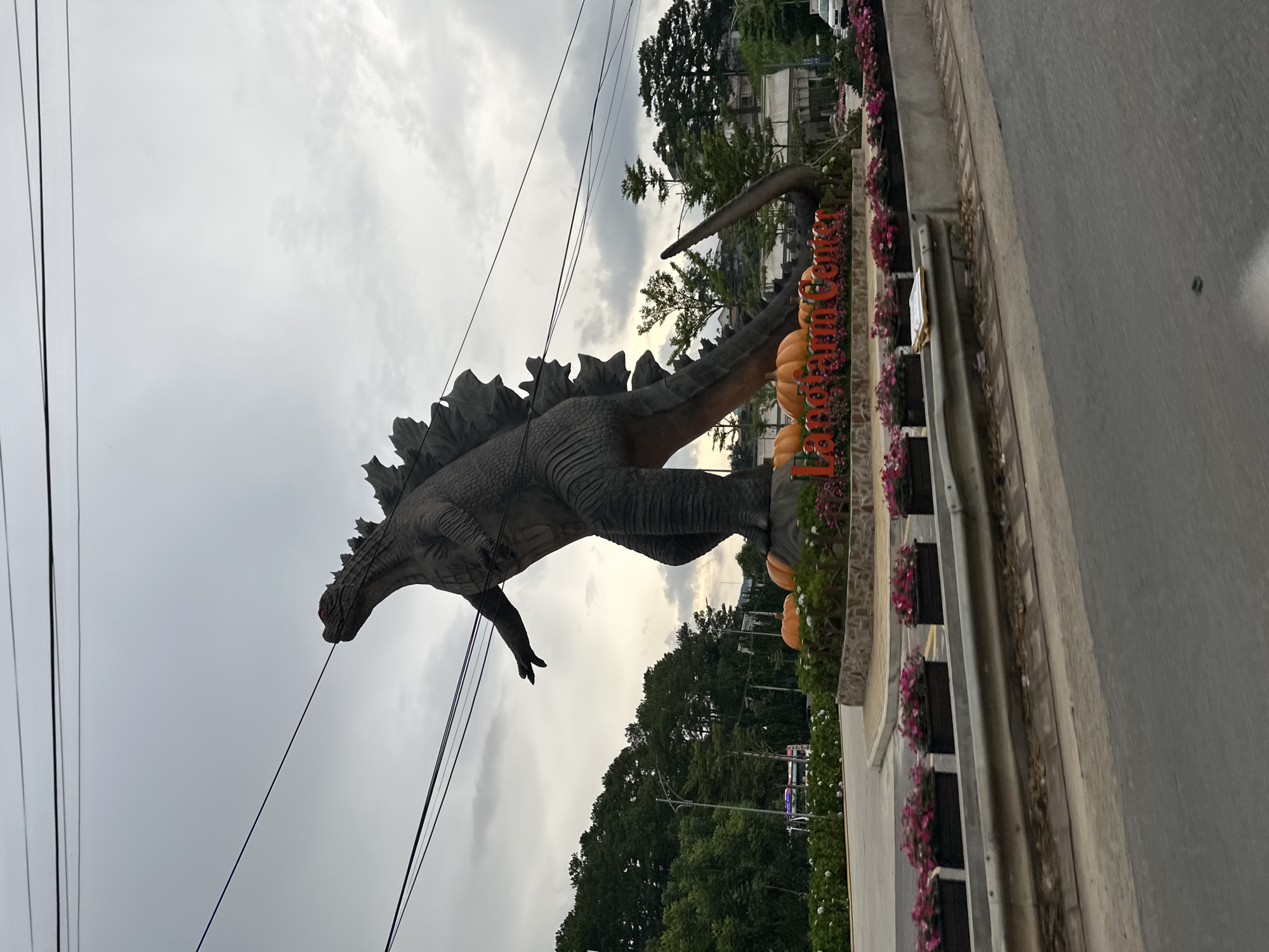 Street scenes and forest roads around Da Lat