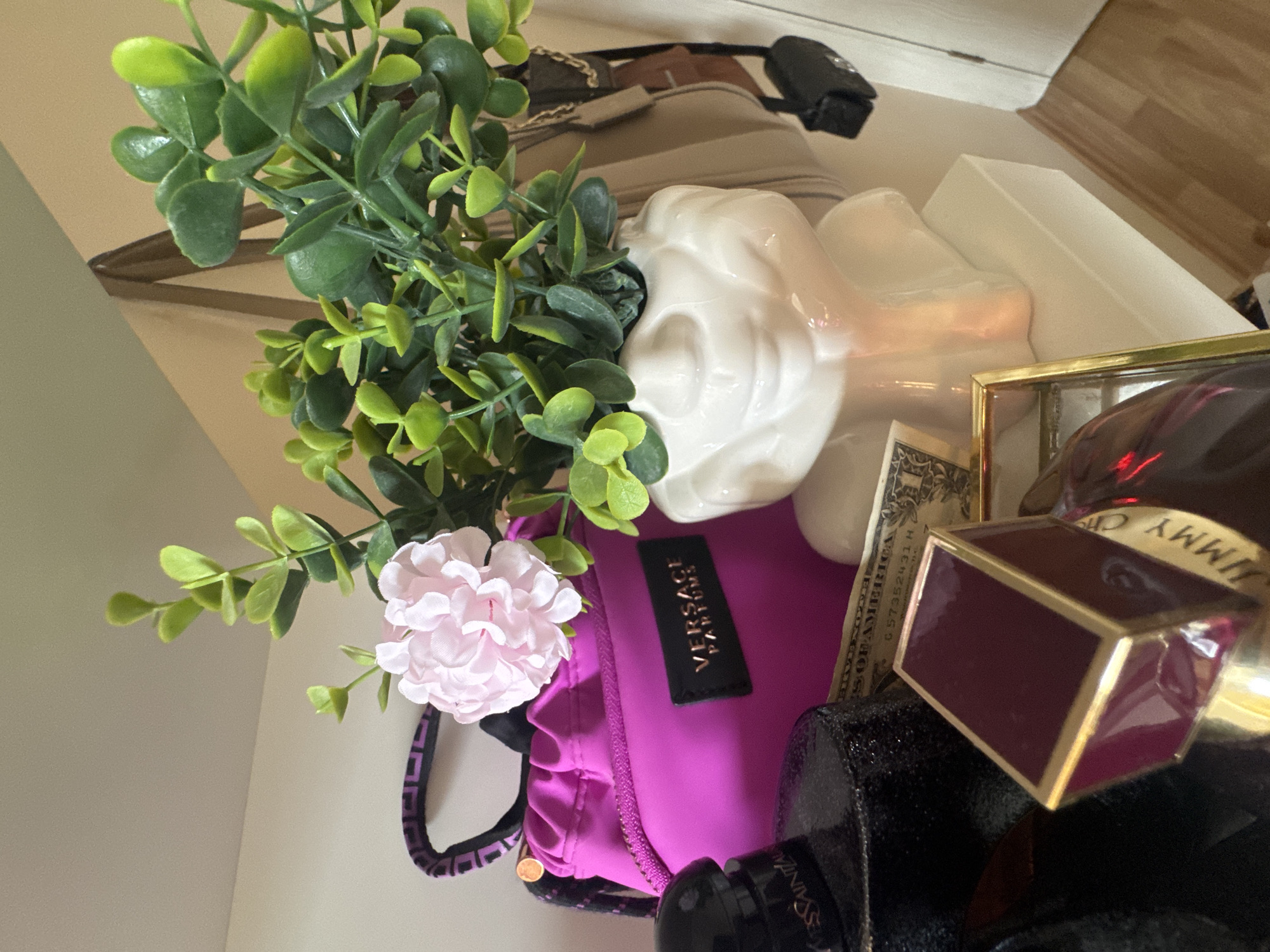 Still life arrangement with Versace pouch and plant in Sofia
