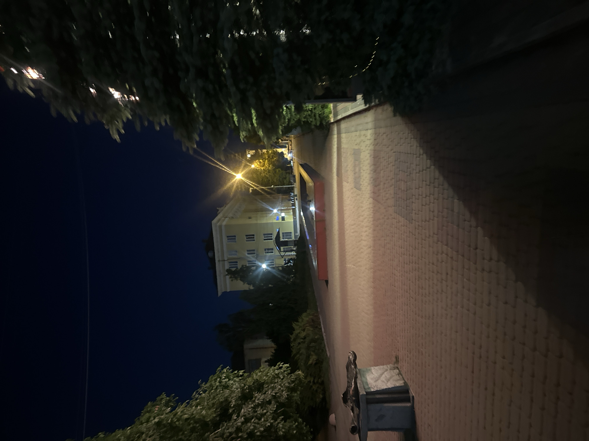 Outdoor cinema night along Ternopil's lakeside promenade
