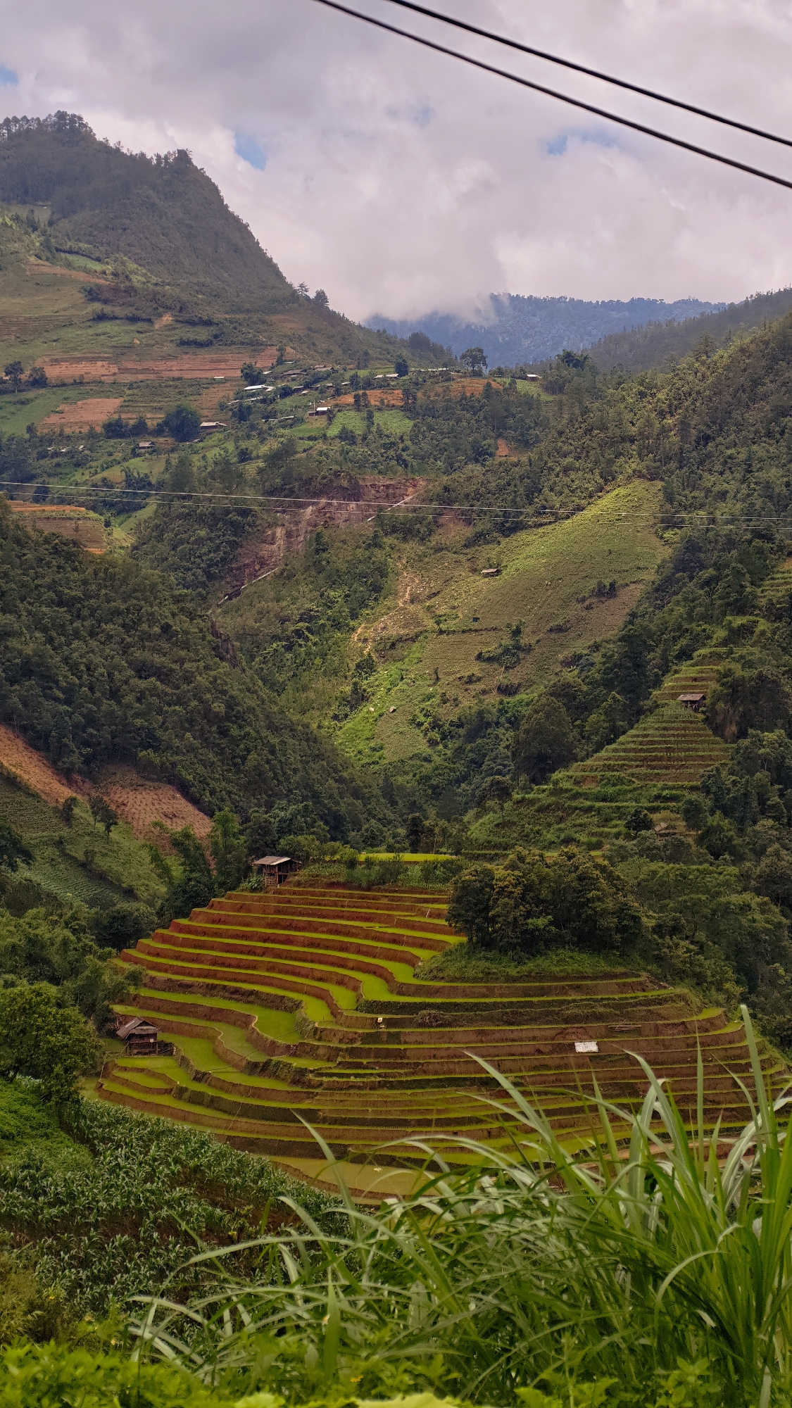 Morning scenes from Vietnam's terraced rice region captured