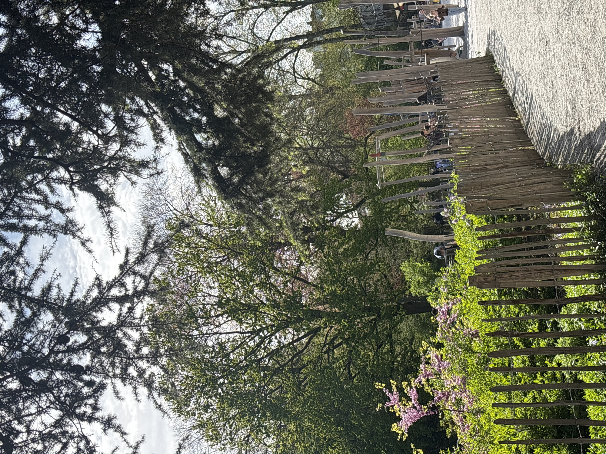 Ordinary afternoon moments documented across Antwerp park and home