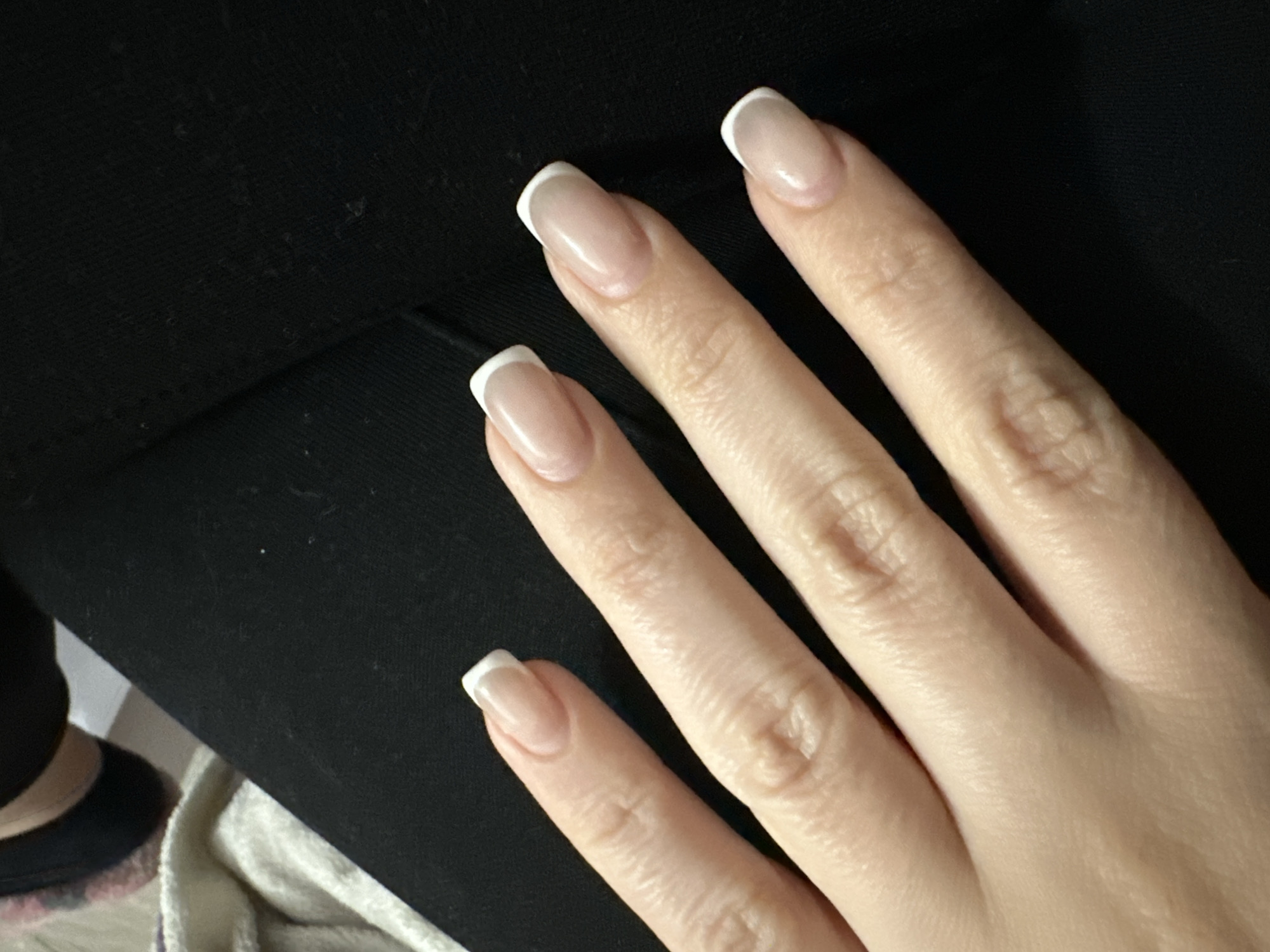 Sofia resident documents fresh manicure, home flowers Monday evening