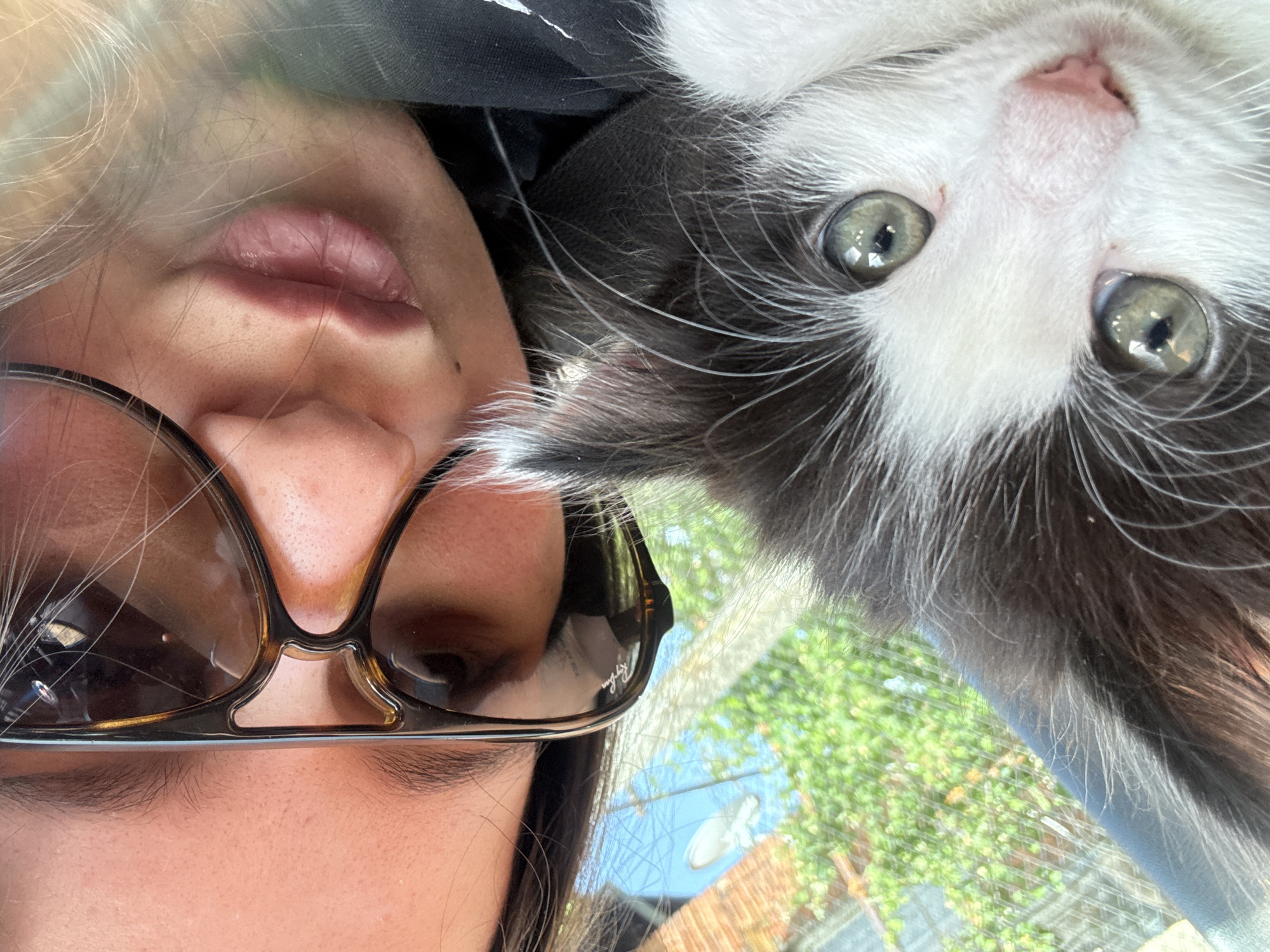 Woman travels with kitten through Rila, Bulgaria
