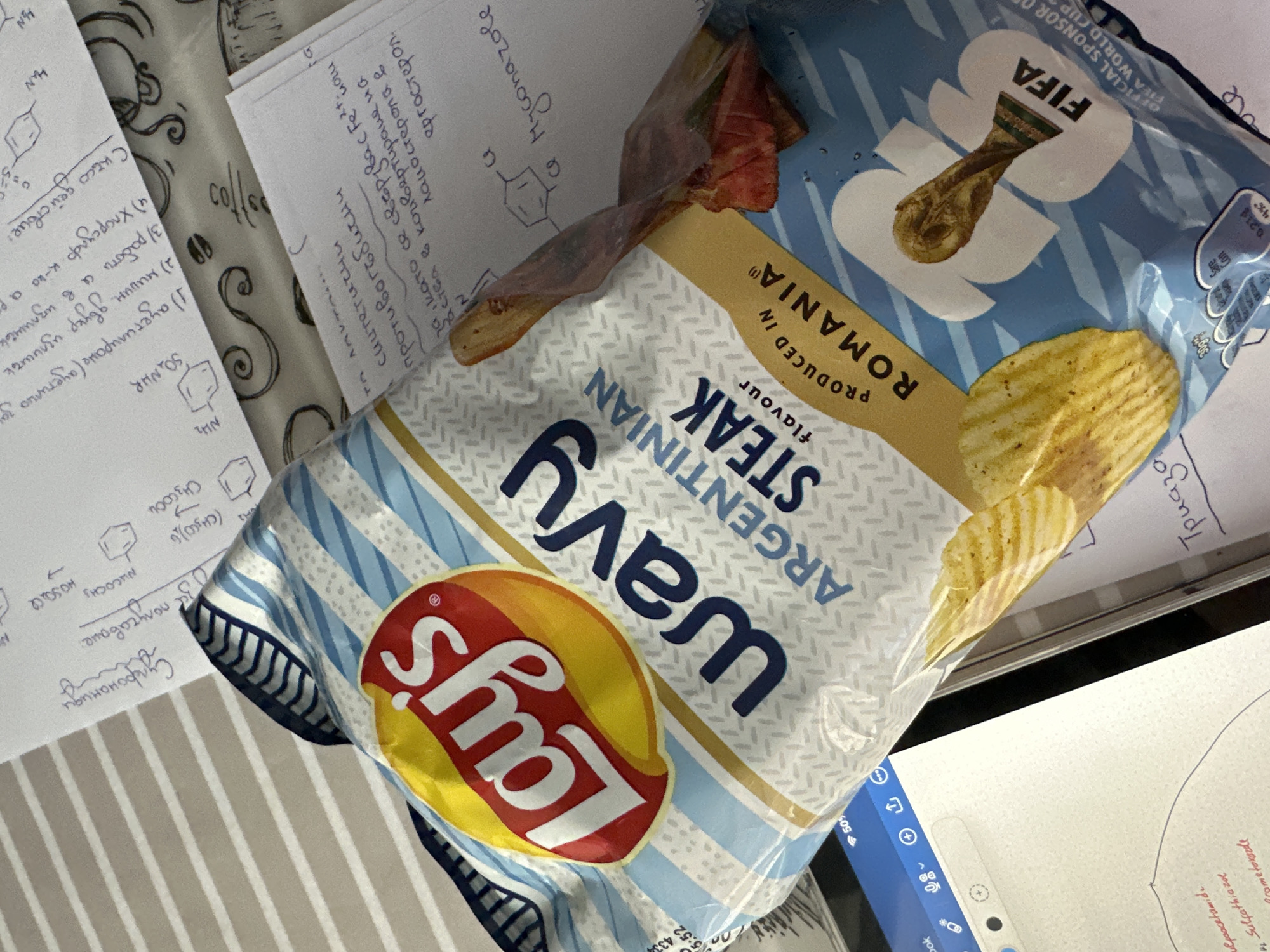 Student studies chemistry with chips in Sofia apartment