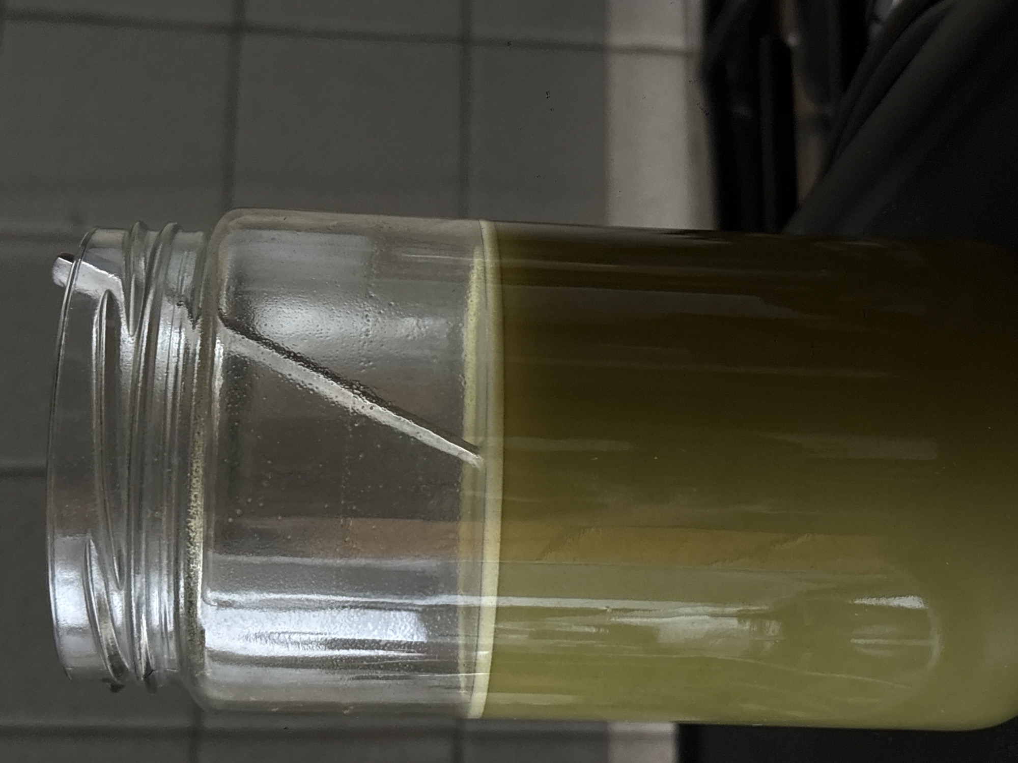 Glass jar with green liquid observed in Mexico City