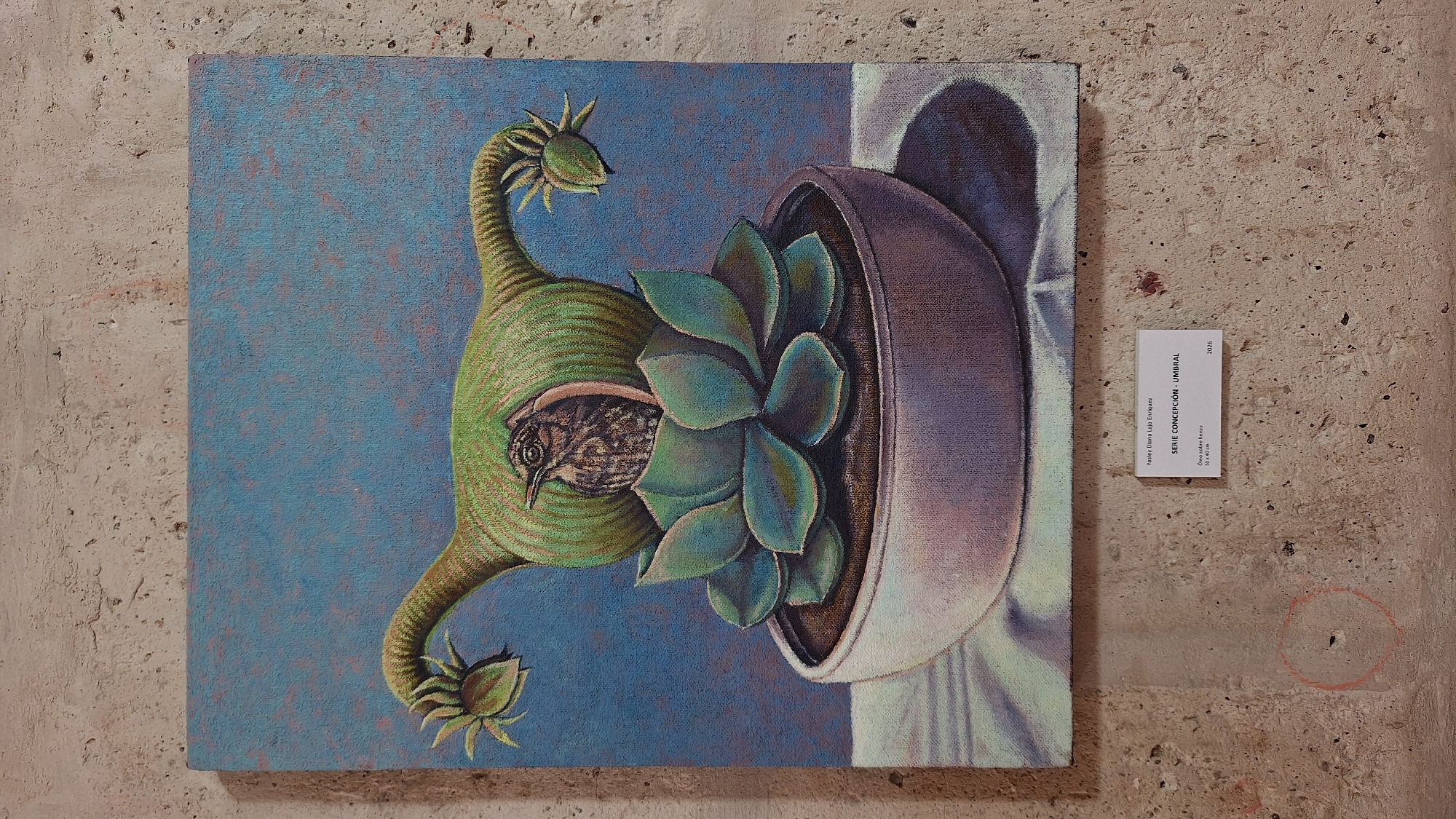 Art exhibition featuring birth-themed works documented in Arequipa