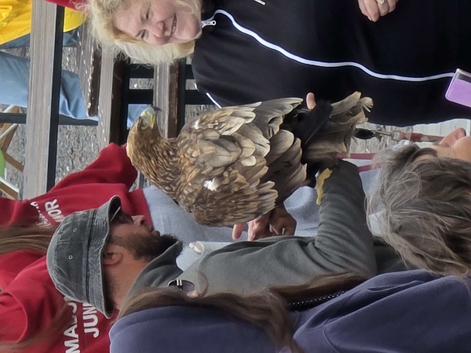 Eagles, gondolas, and mountain views at Elbrus