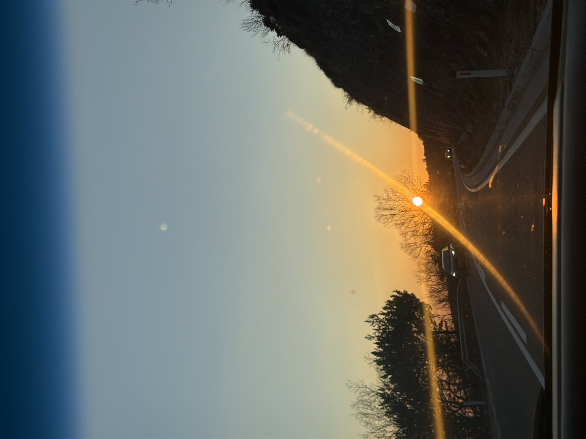 Sunset observed through bare trees from vehicle in Brajici, Montenegro