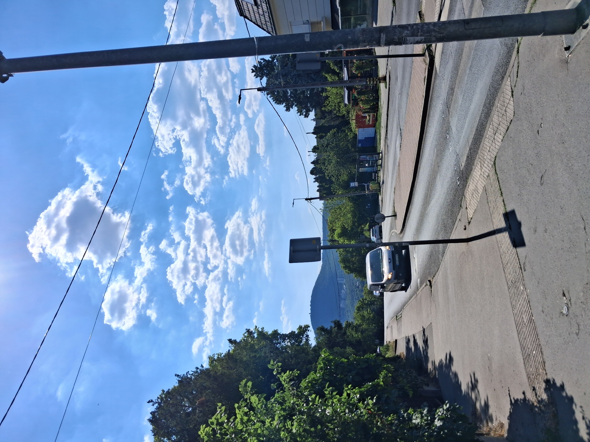 Budapest errand run: groceries, flowers, and street scenes