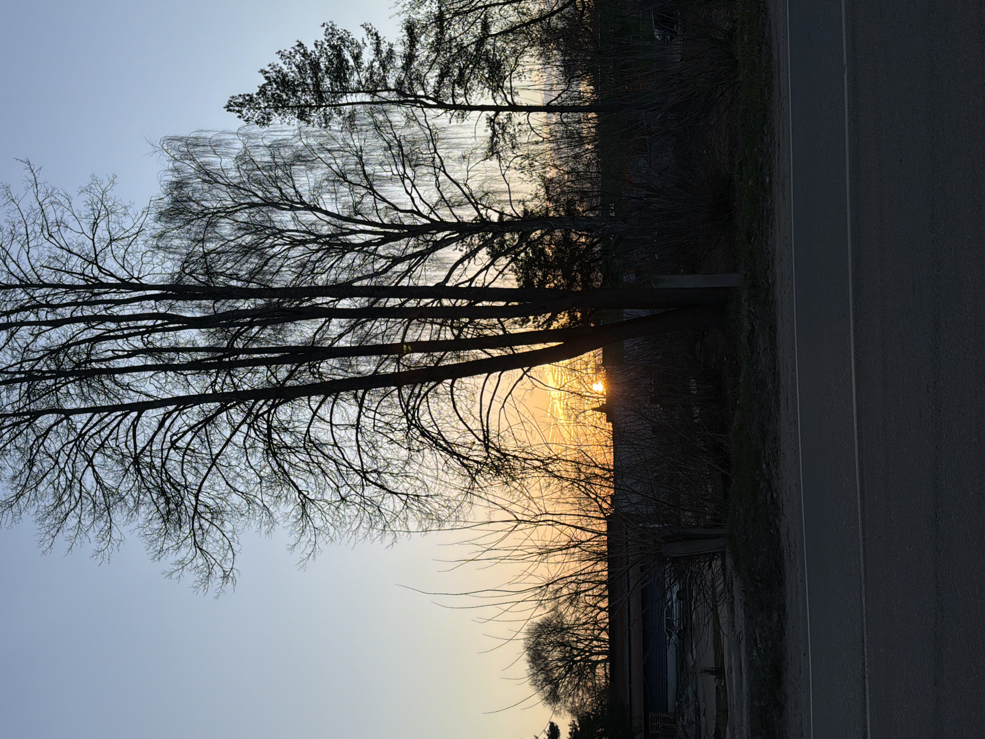 Evening scenes and couple selfie captured in Reshetnikovo, Russia