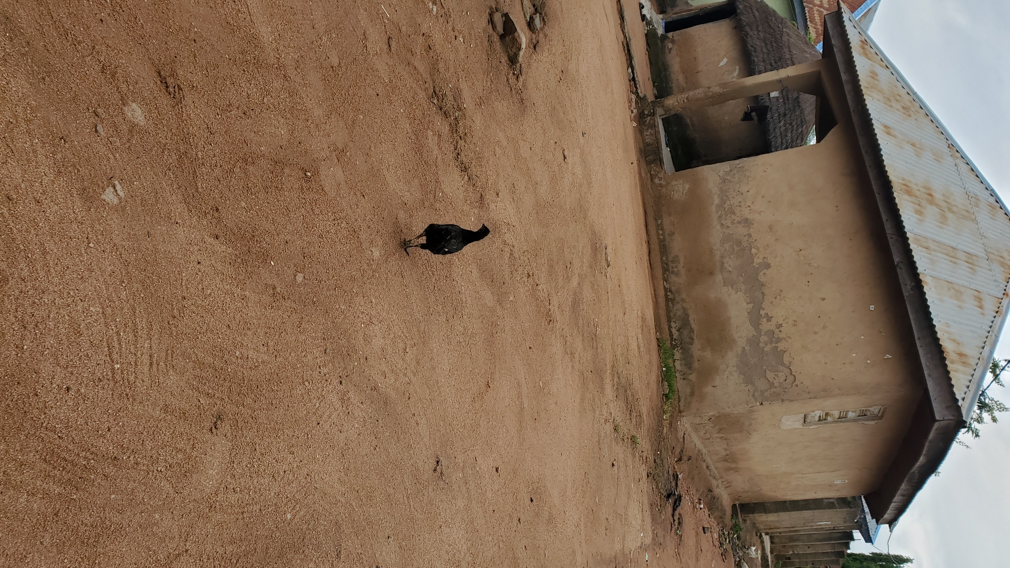 Street-level life across a Jalingo neighborhood at dawn