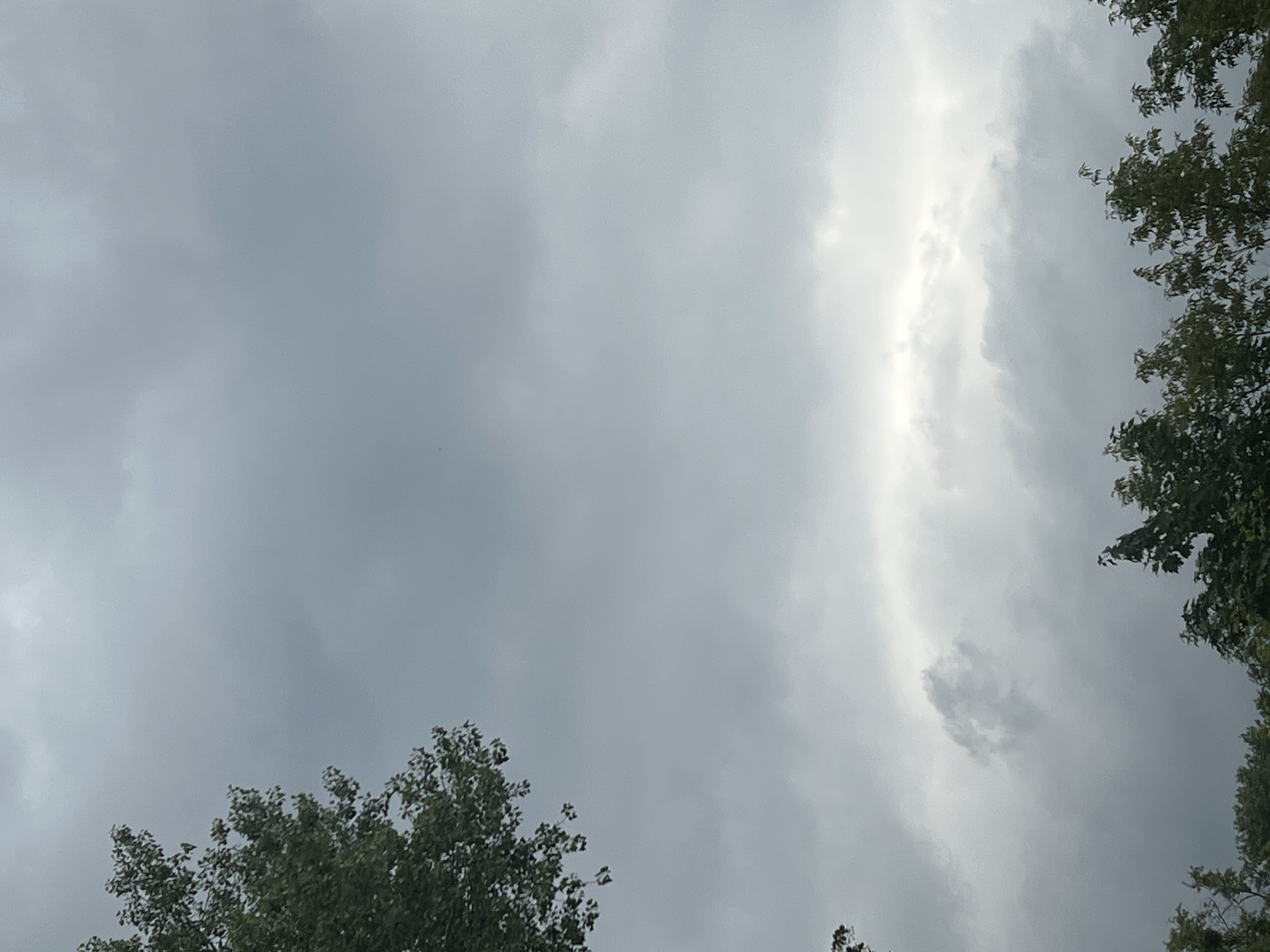 Heavy overcast sky above Warsaw's tree canopy, early morning.