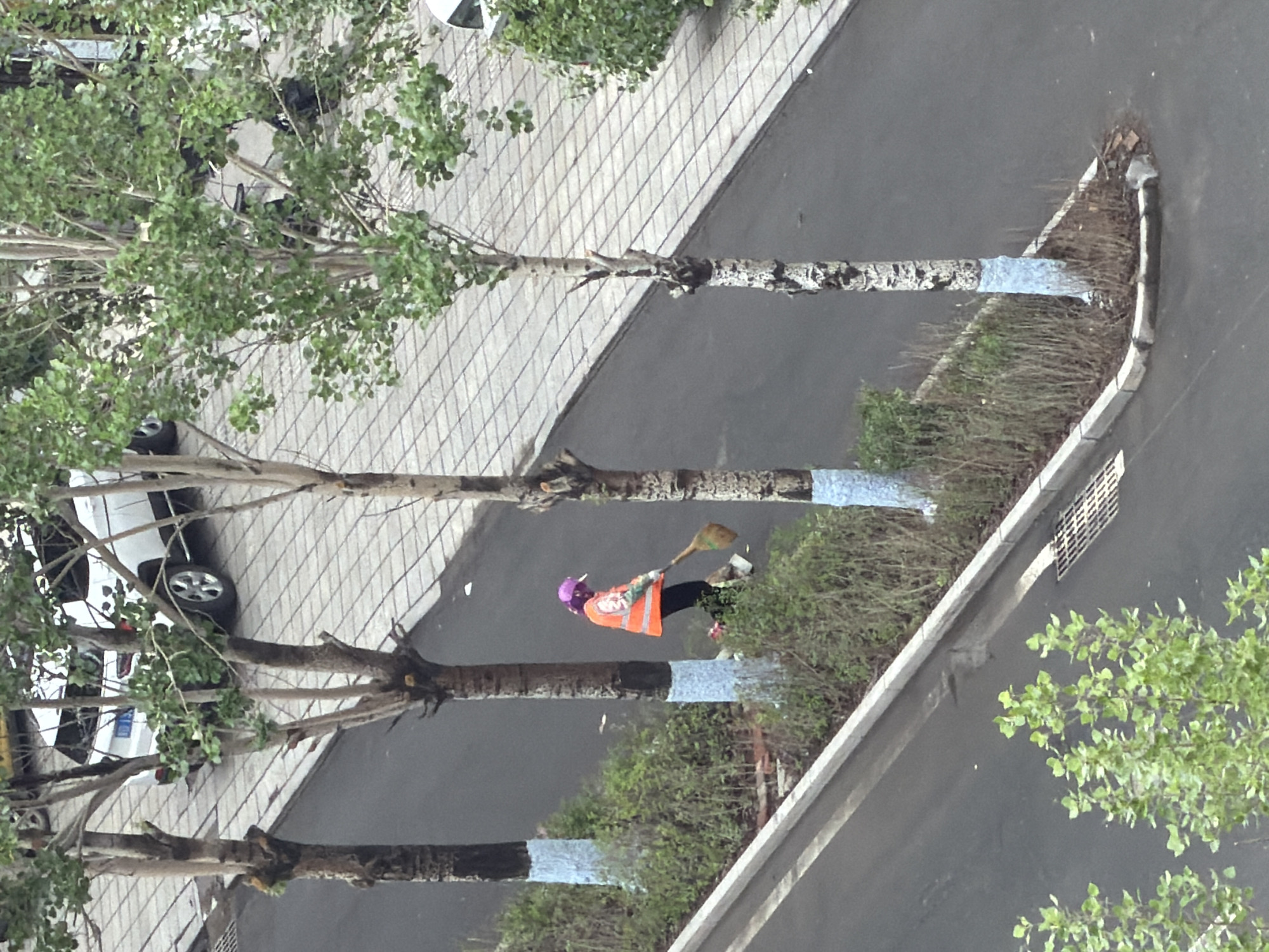Routine street scenes documented in Tongjiang, China