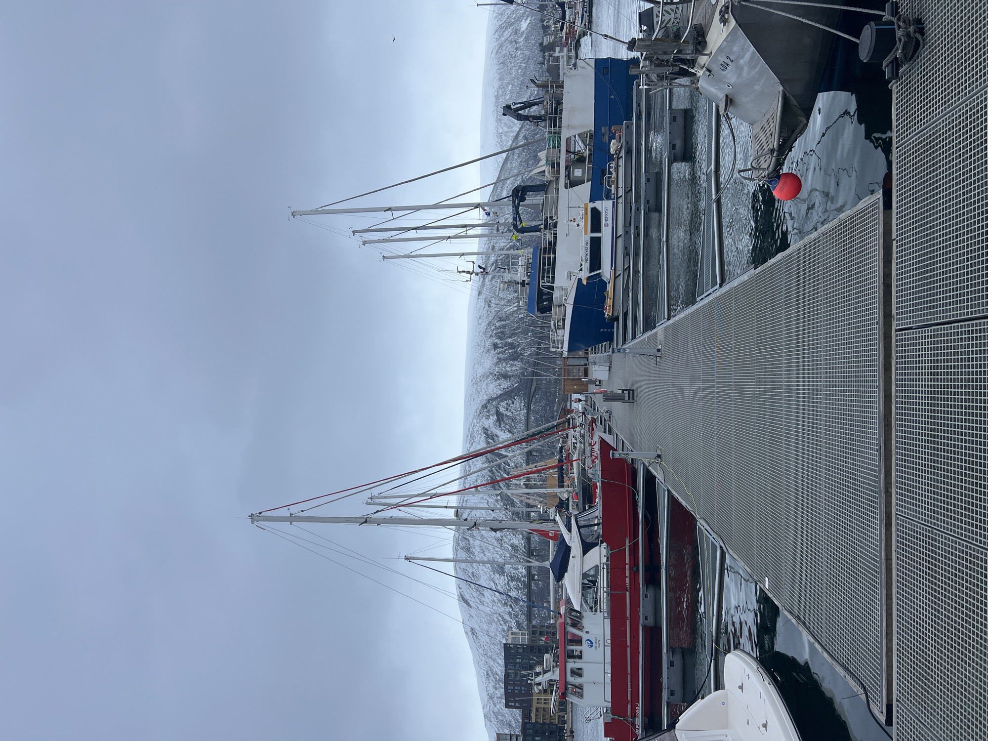 Tromsø harbor documented with boats and snowy mountain backdrop