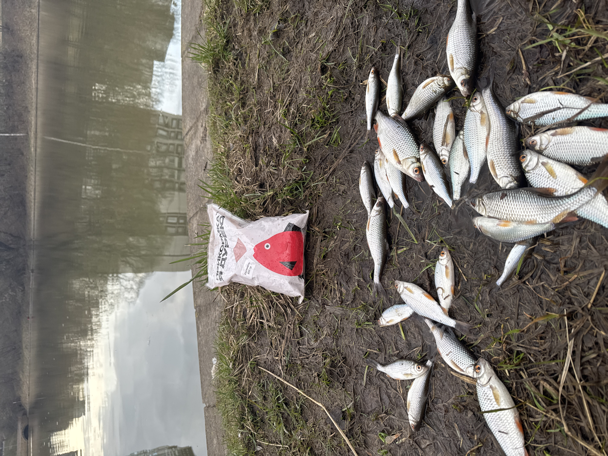Angler catches fish in Moscow waterway Tuesday afternoon
