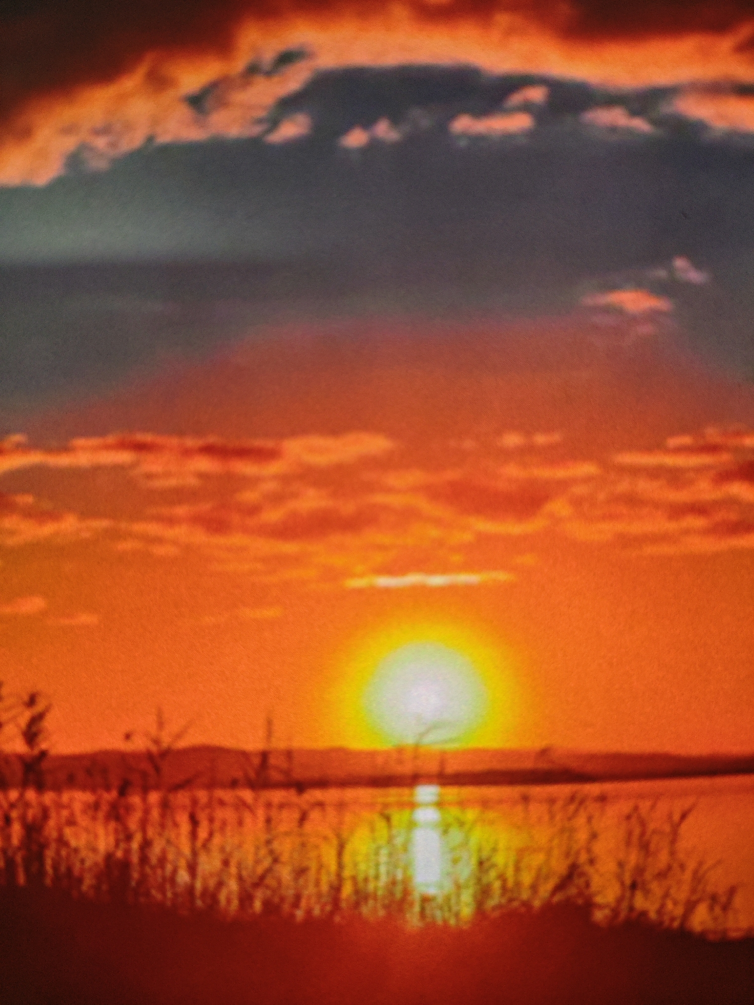 Summer evening in Armavir: sunsets, preserves, and handmade crafts