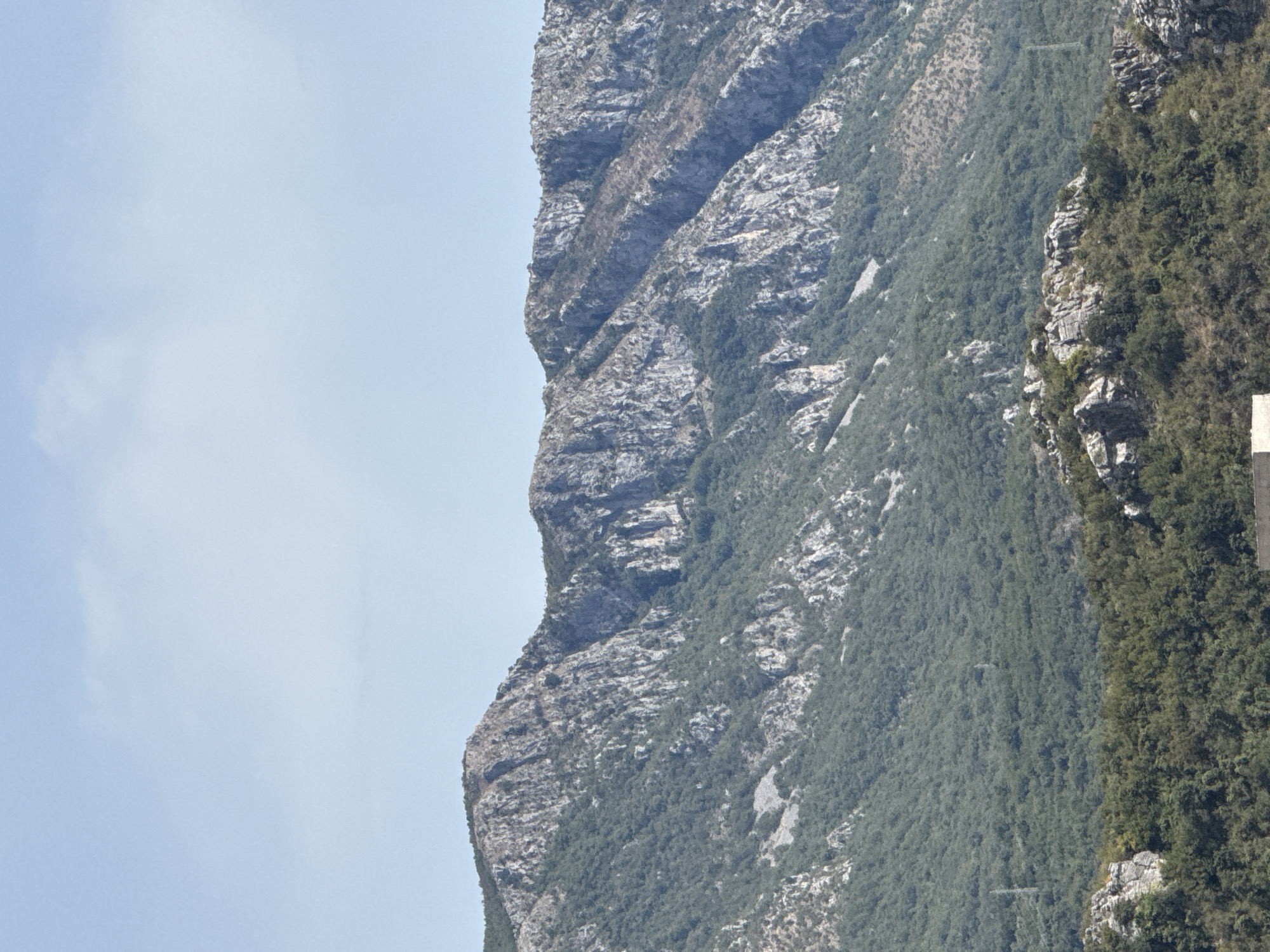 Rocky forested slopes above Boreti, Montenegro