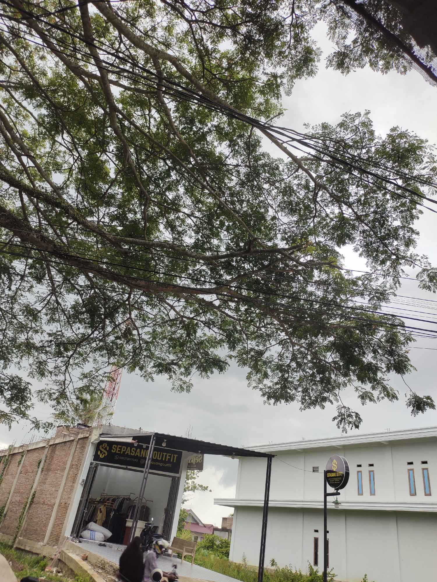 Morning scenes documented across two Indonesian towns