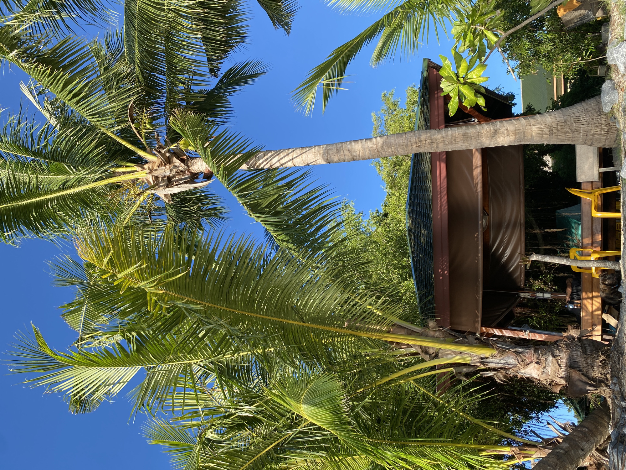 Morning documentation of daily island life in Ko Samui