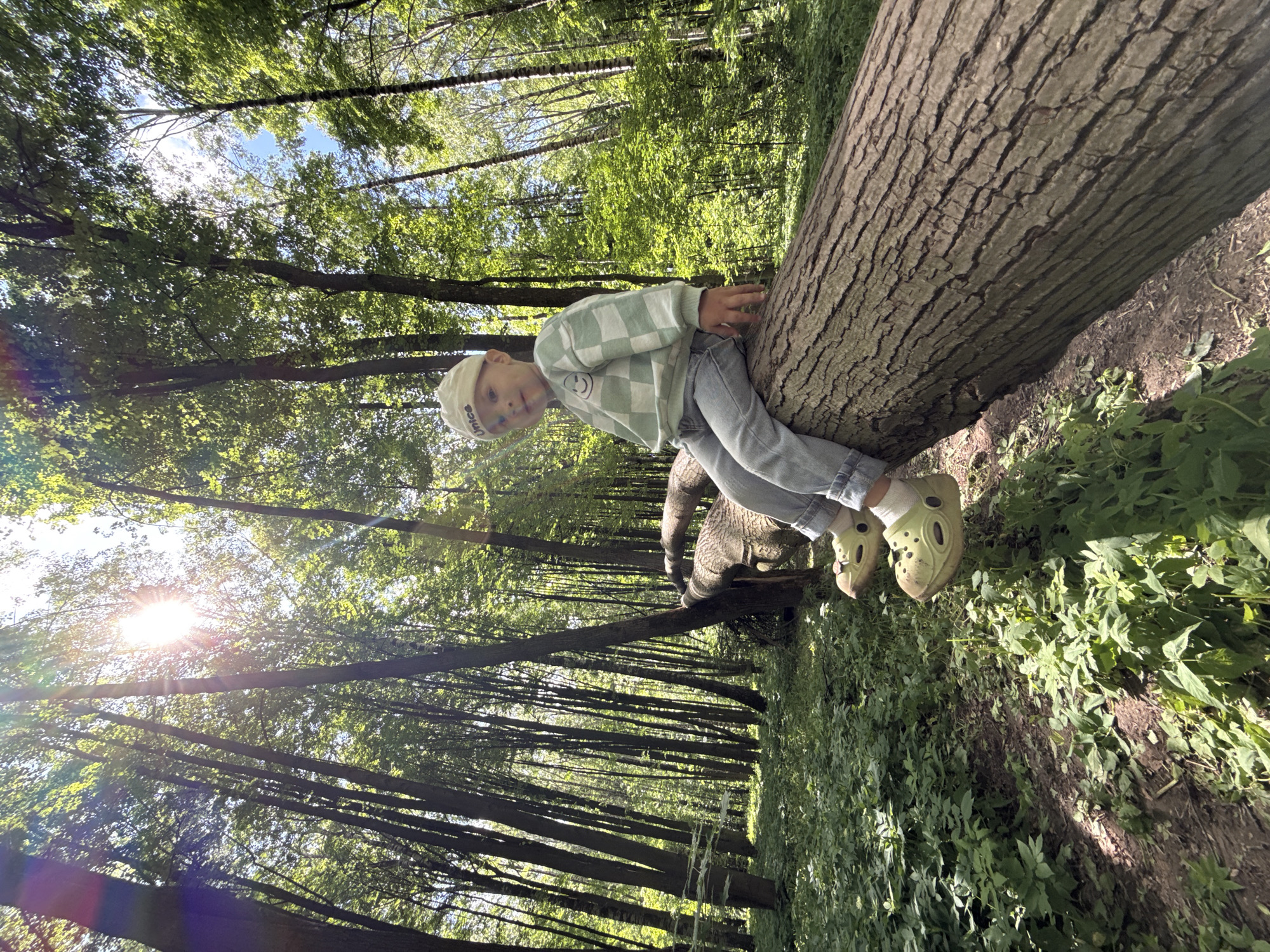 Child sits on fallen tree in Russian forest
