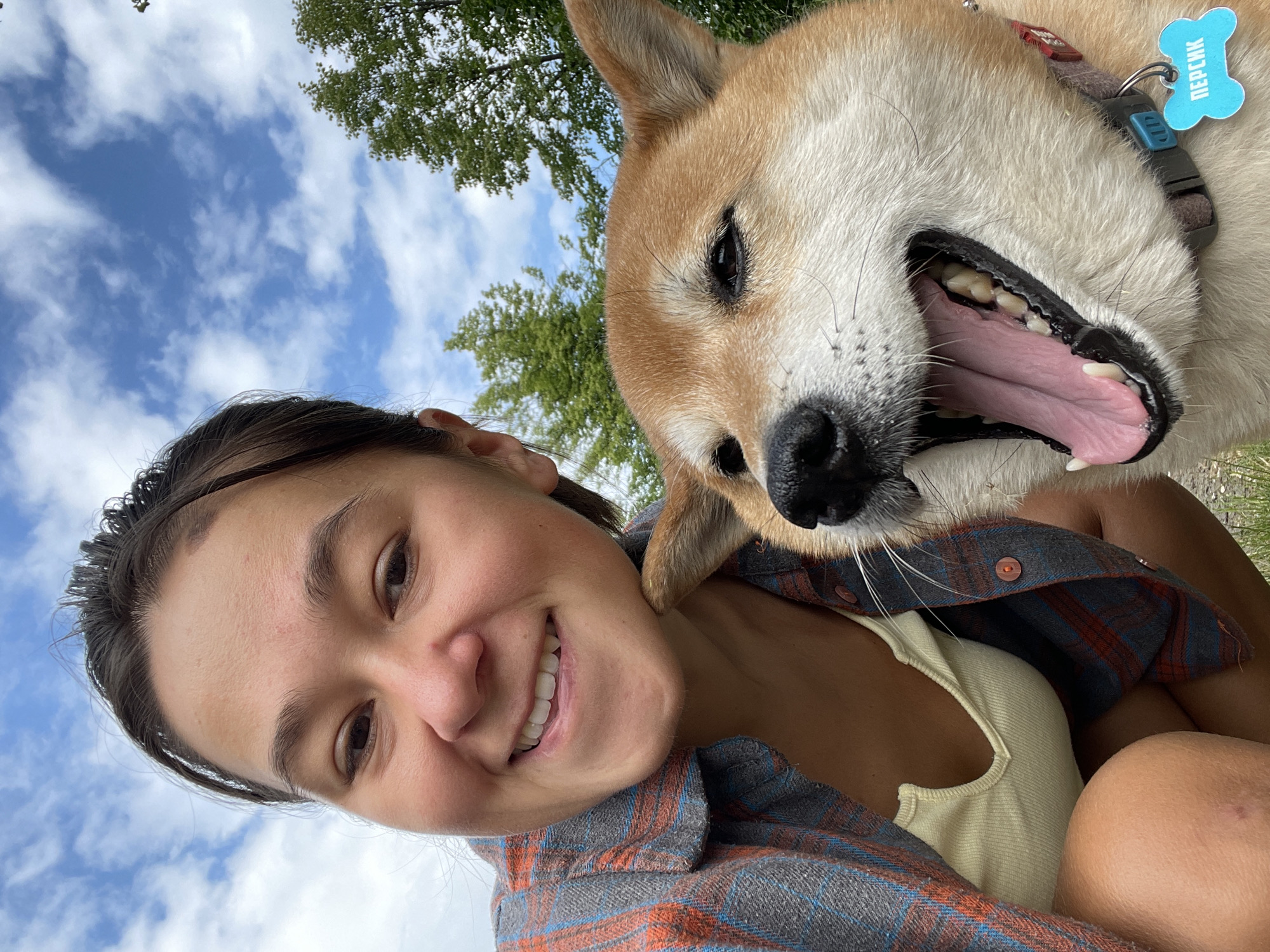Dog walk and photo session in Zheleznogorsk