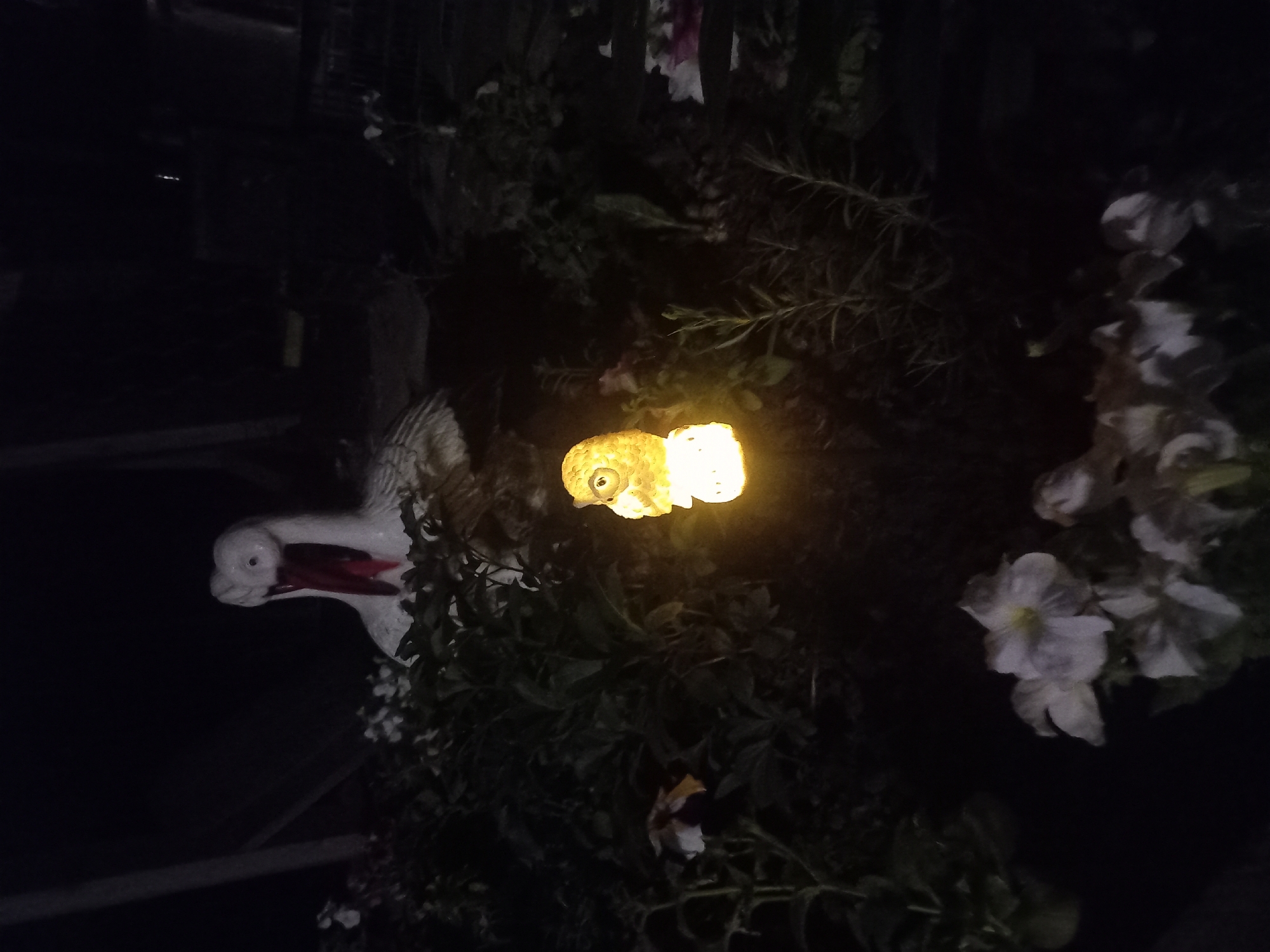 Glowing owl garden light spotted in Ukrainian village