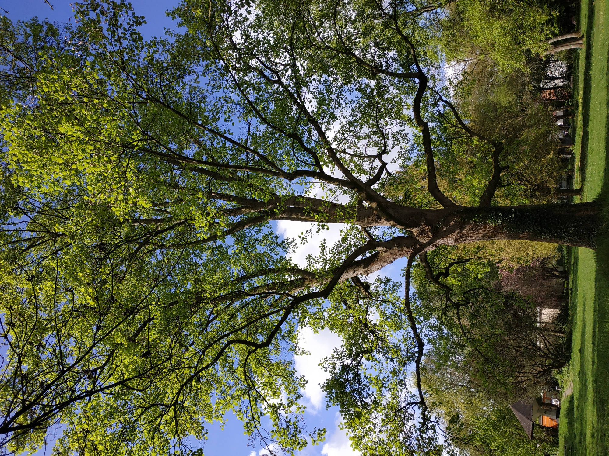 Spring morning nature walk documented in Dortmund forests