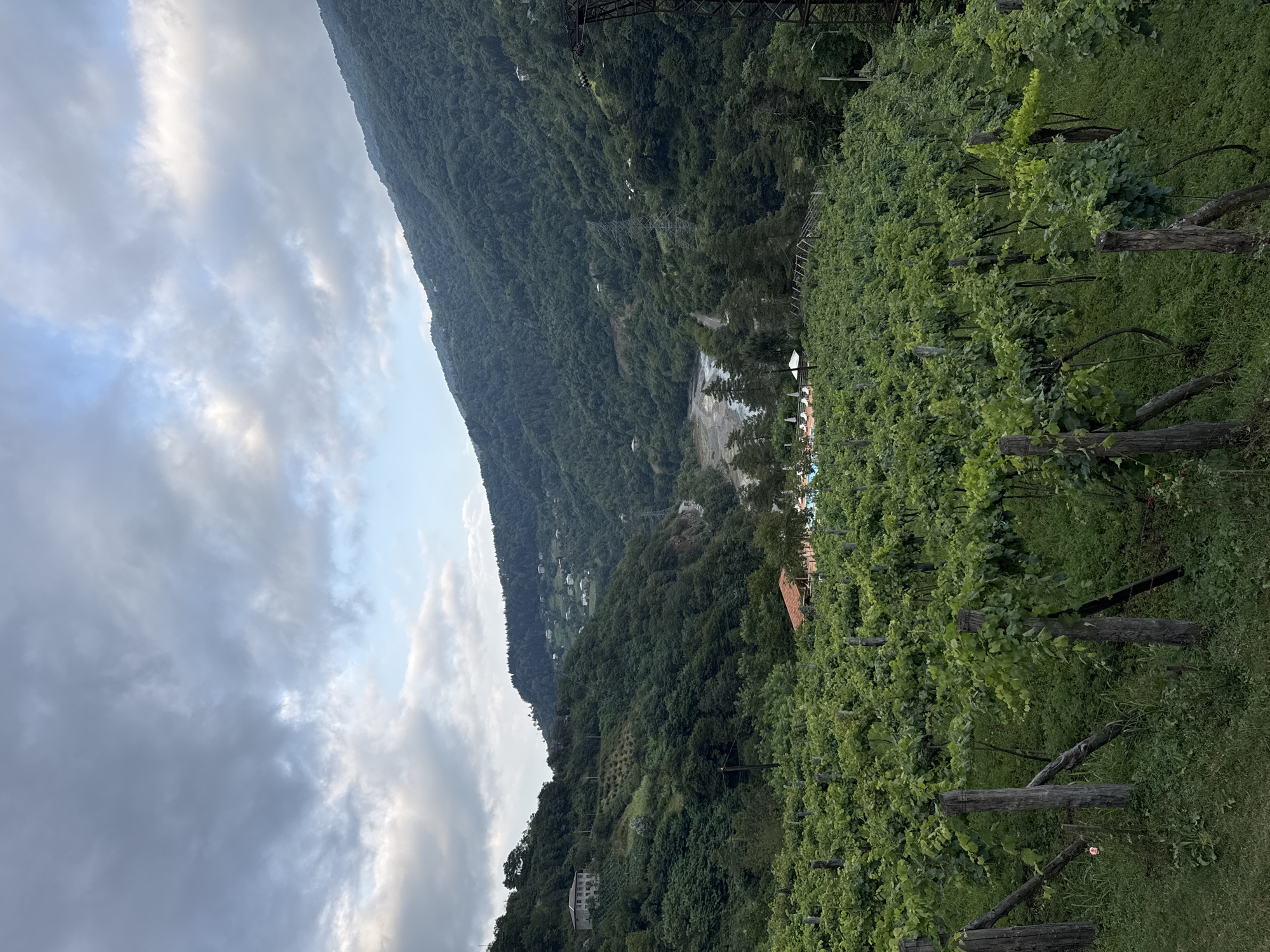 Vineyard venue and mountain scenery in Tibeta, Georgia