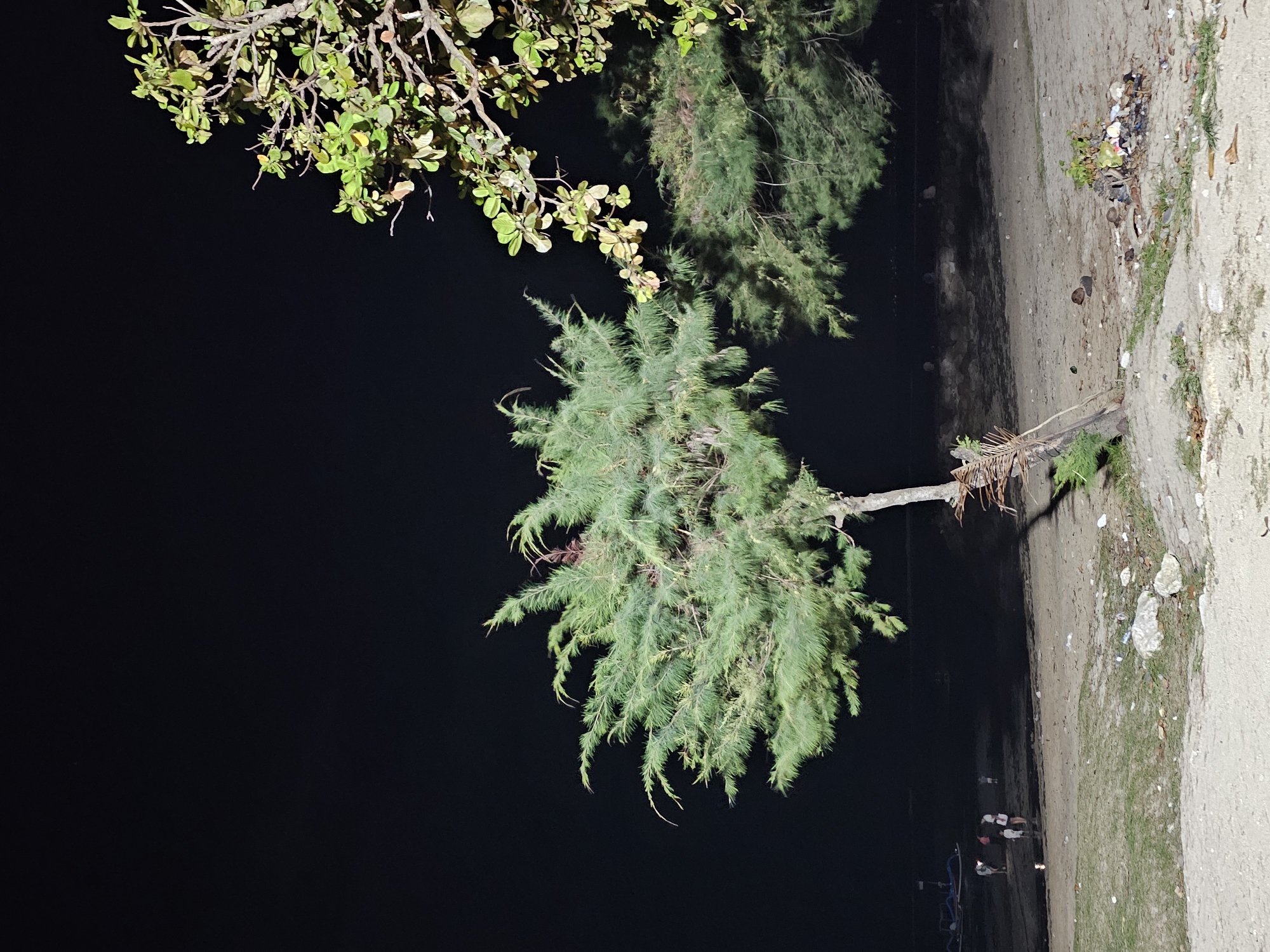 Denpasar beachside night: resort pools, live music, and local spots