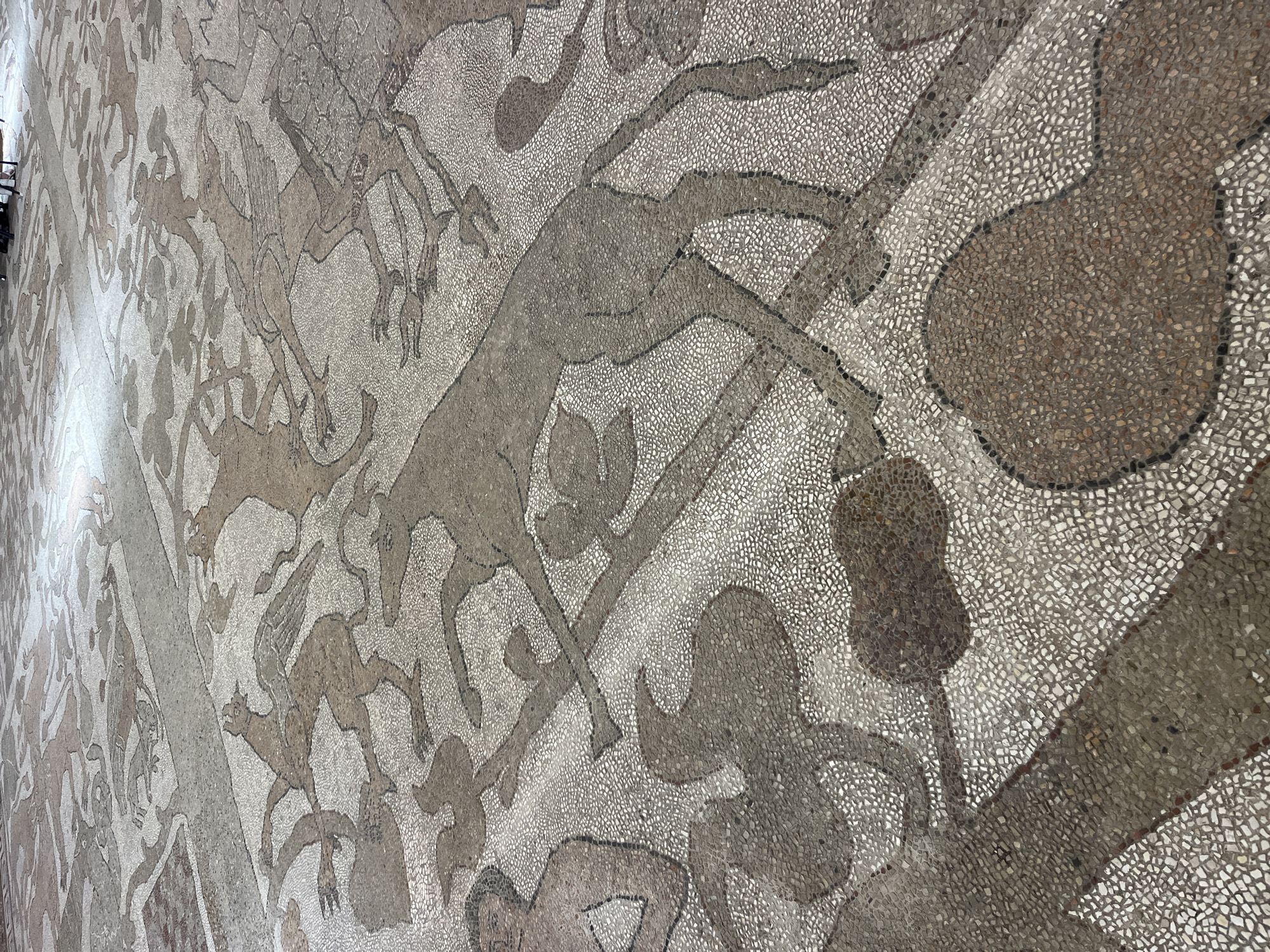 Tourist documents Otranto Cathedral mosaics and historic Italian streetscapes