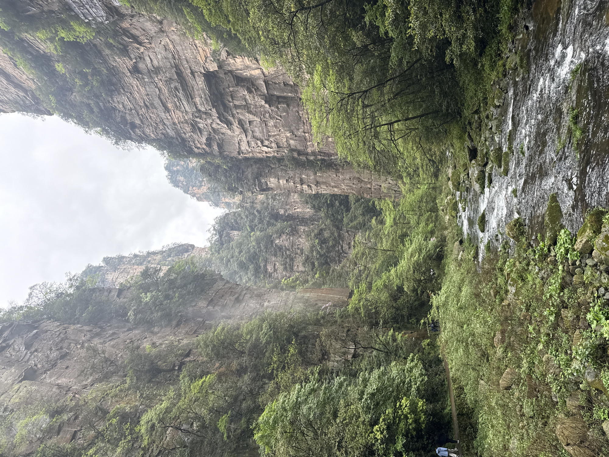Canyon landscape with layered rock formations and vegetation documented