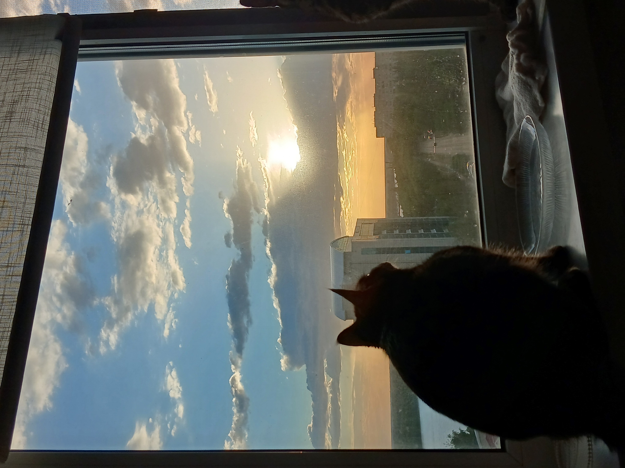 Cat on a windowsill watches the sunset over Pavlodar