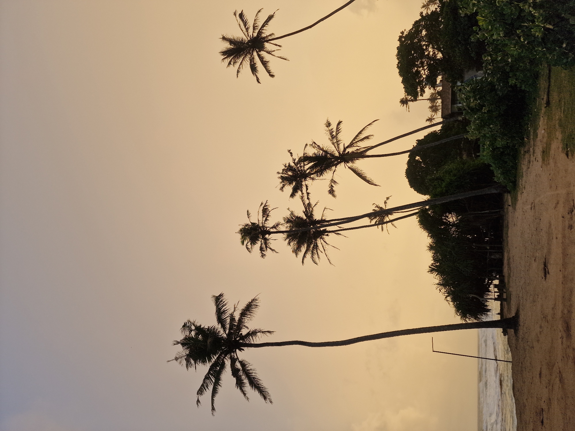 Coastal scenes and livestock captured in Midigama, Sri Lanka