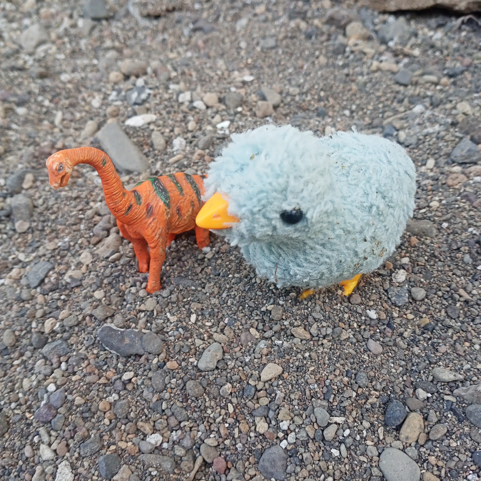 Pets, toys, and daily life in a rural Indonesian village