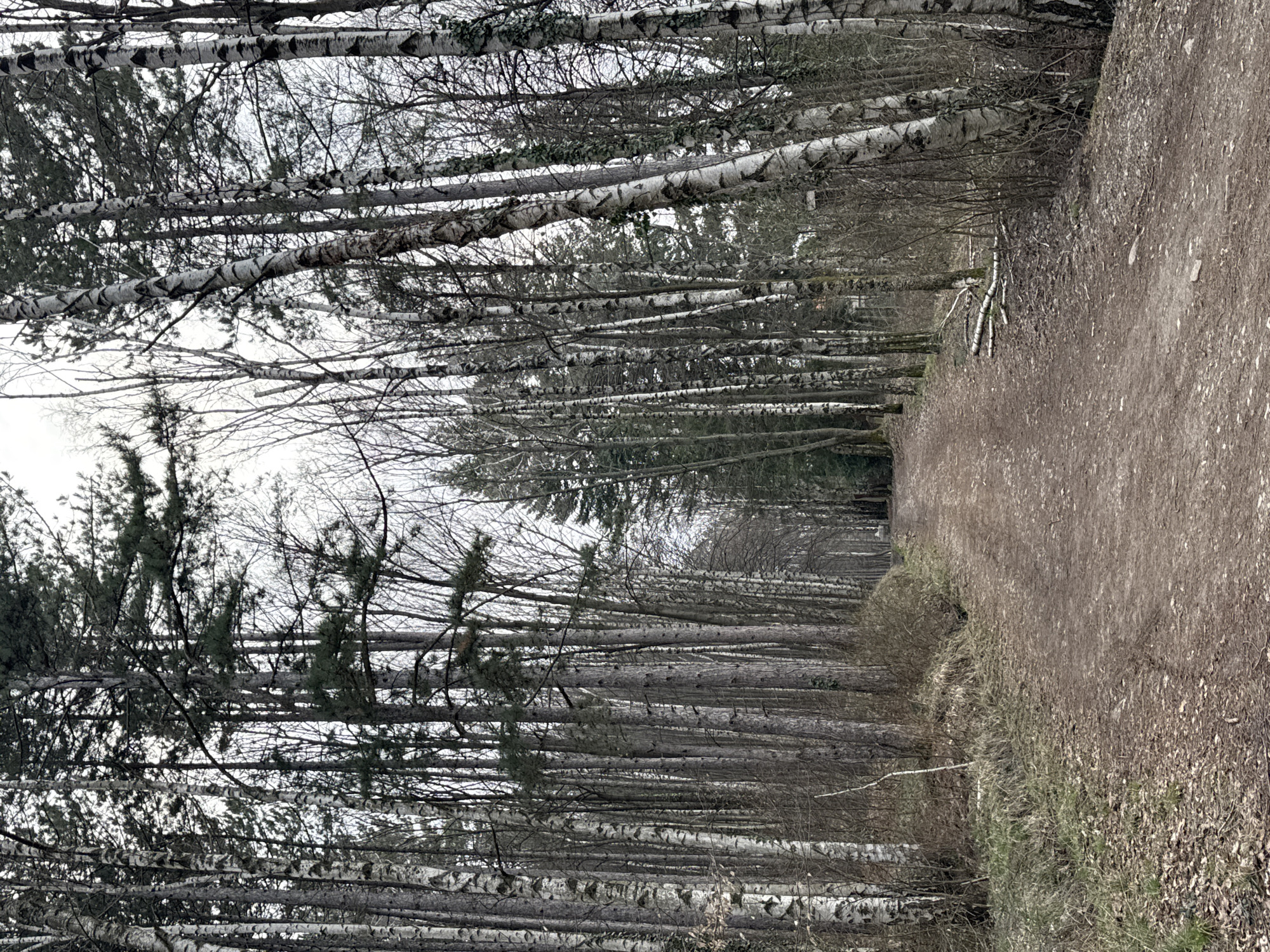 Mixed urban and nature scenes documented around Sofia