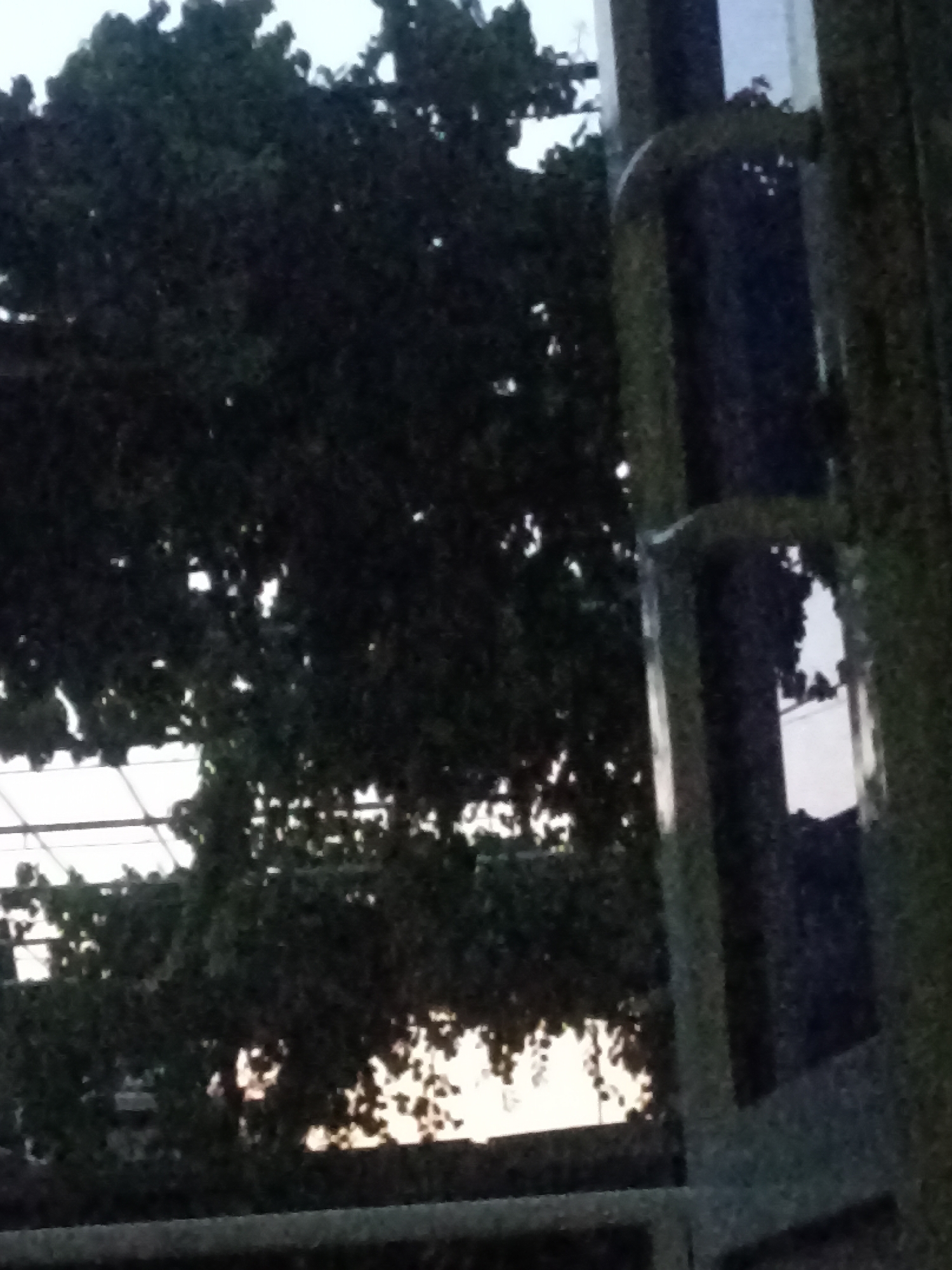 Blurry nighttime glimpse of a glass building in Chust
