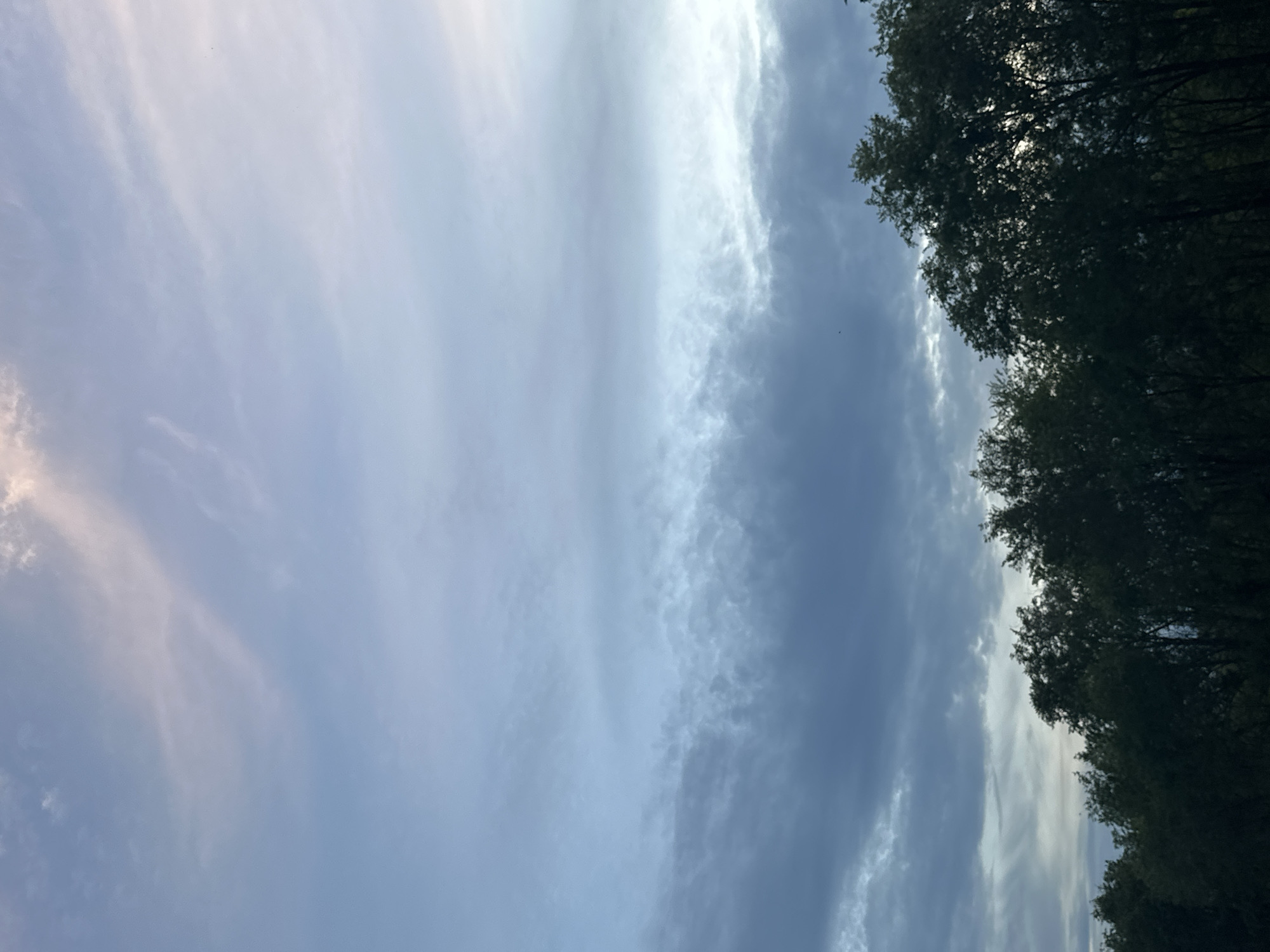 An hour of sky-watching as daylight fades to golden hour