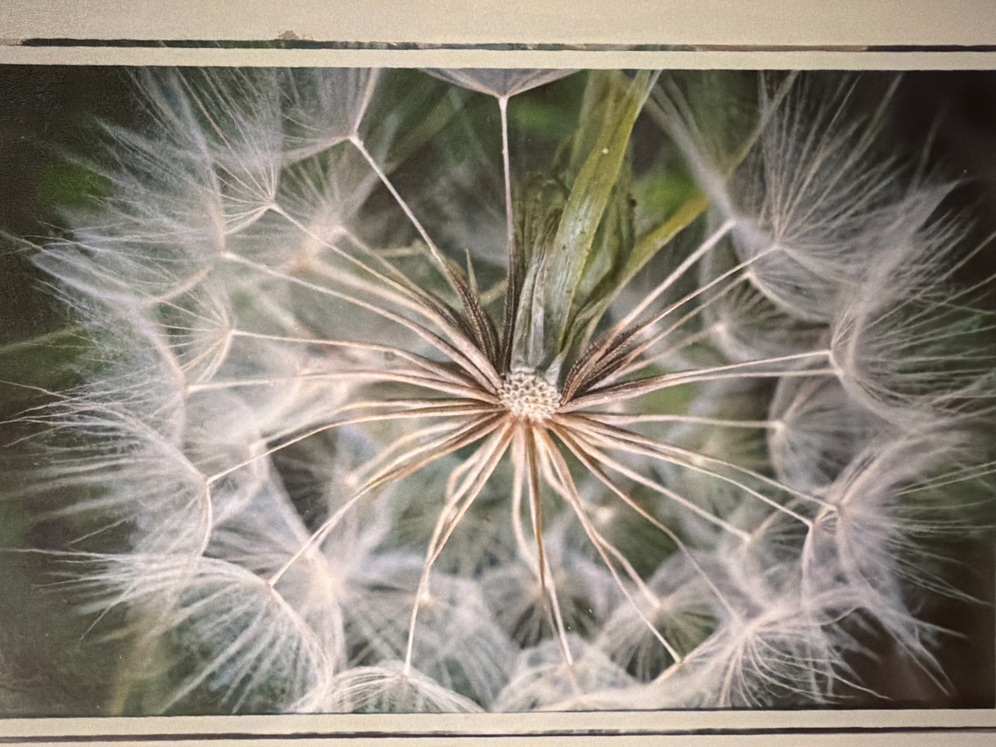 Sofia resident captures eclectic home collection during evening documentation session