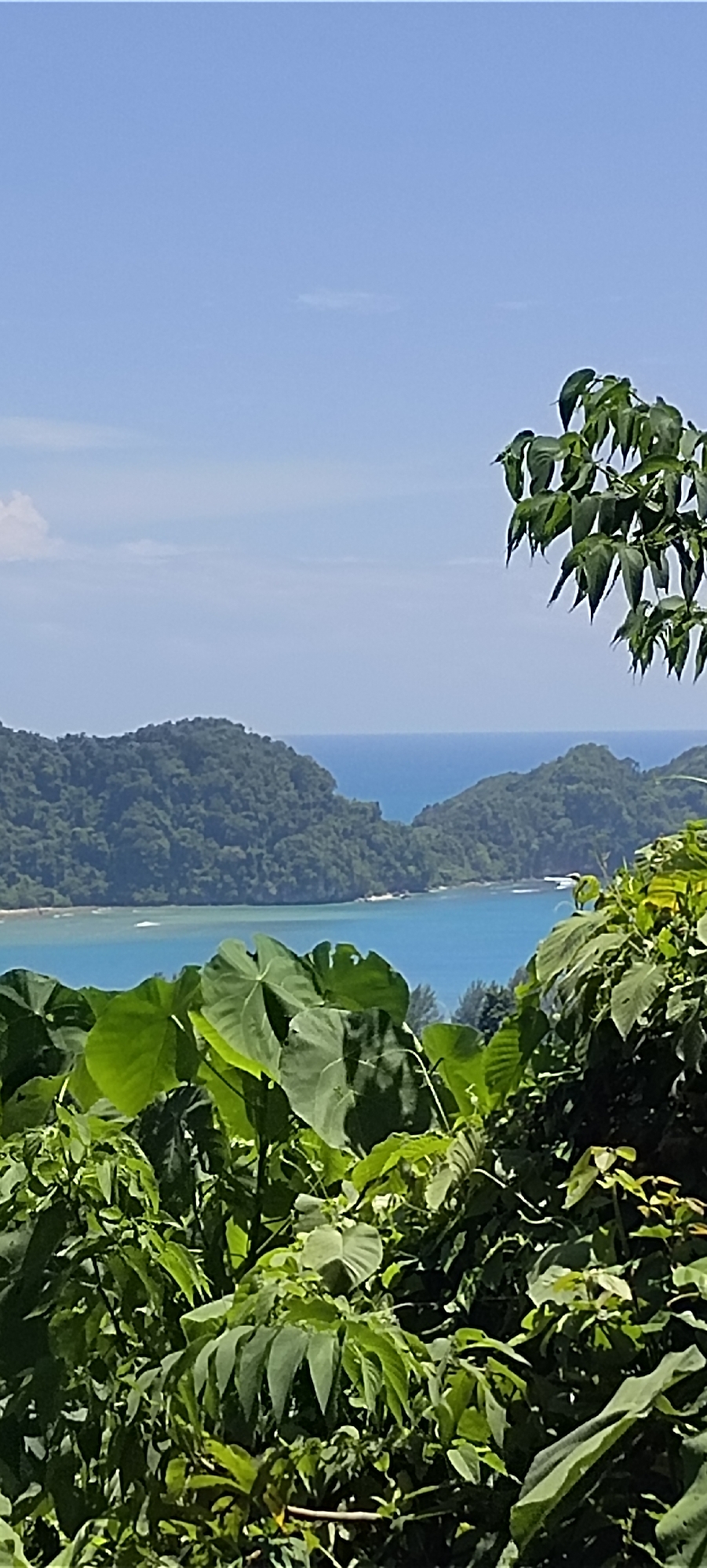 Lush tropical coastline and turquoise bay, Paroy, Indonesia