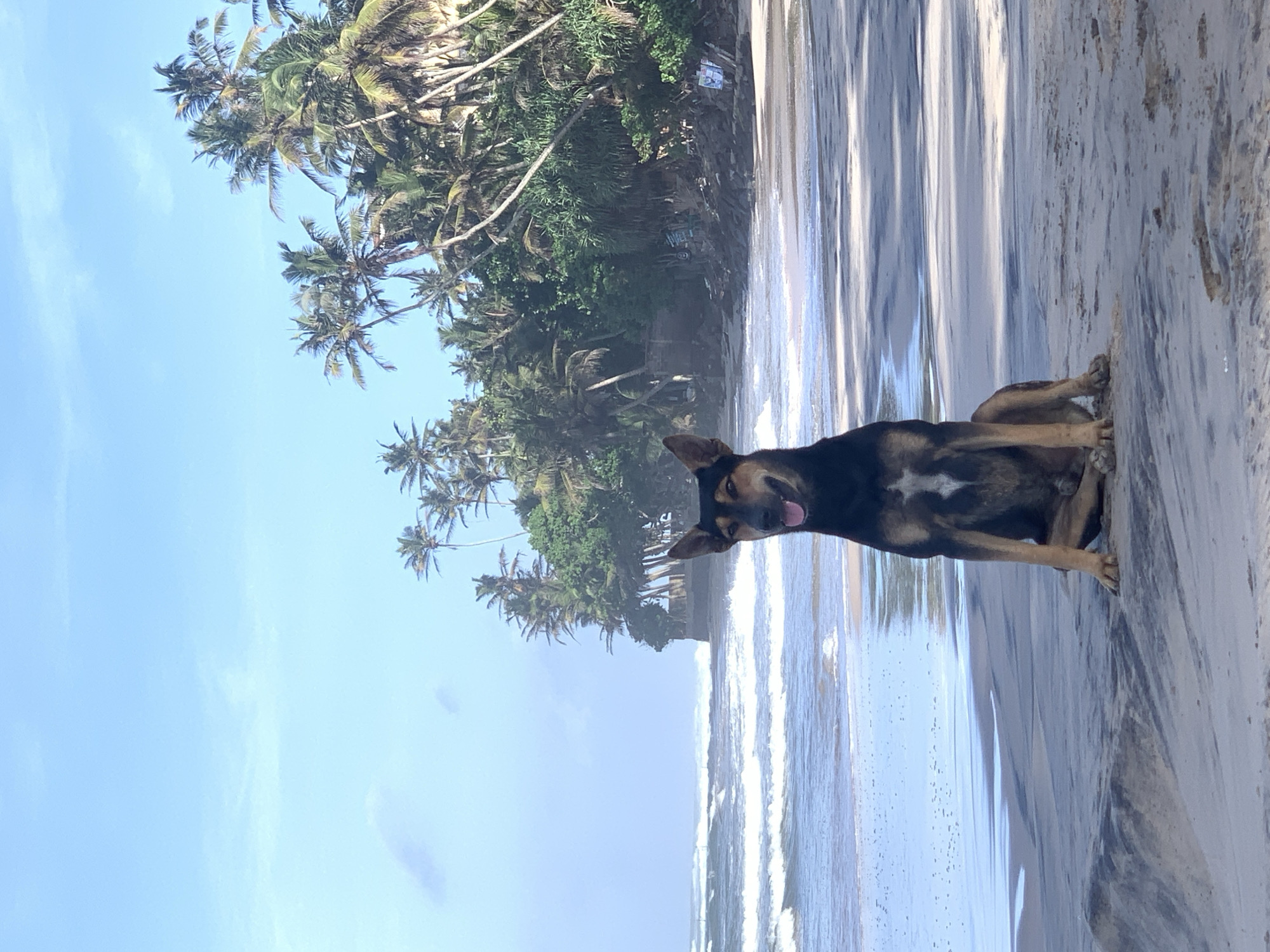 Early morning beach walk captured in Kathaluwa, Sri Lanka