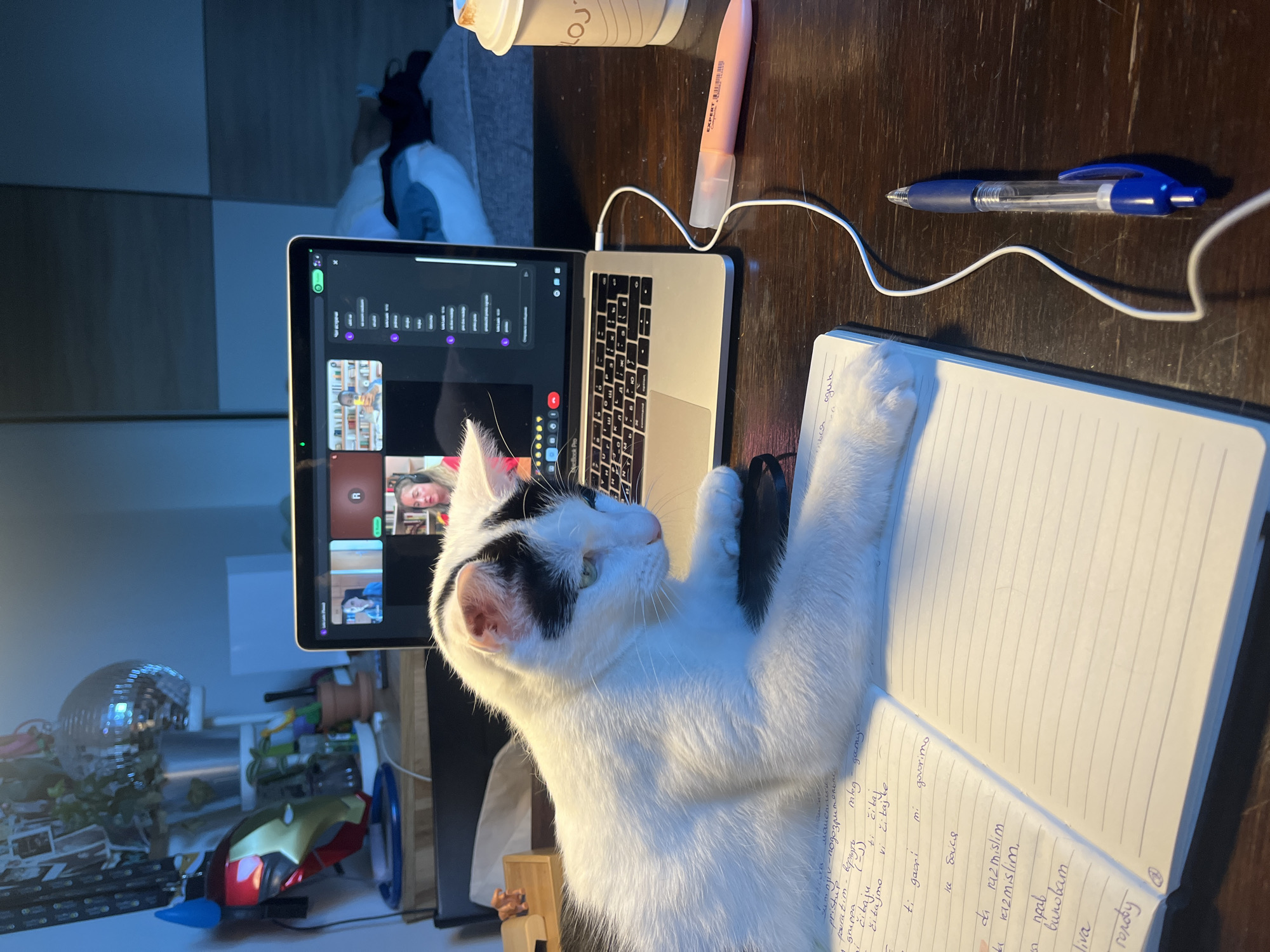 Belgrade resident documents work-from-home day and city streets