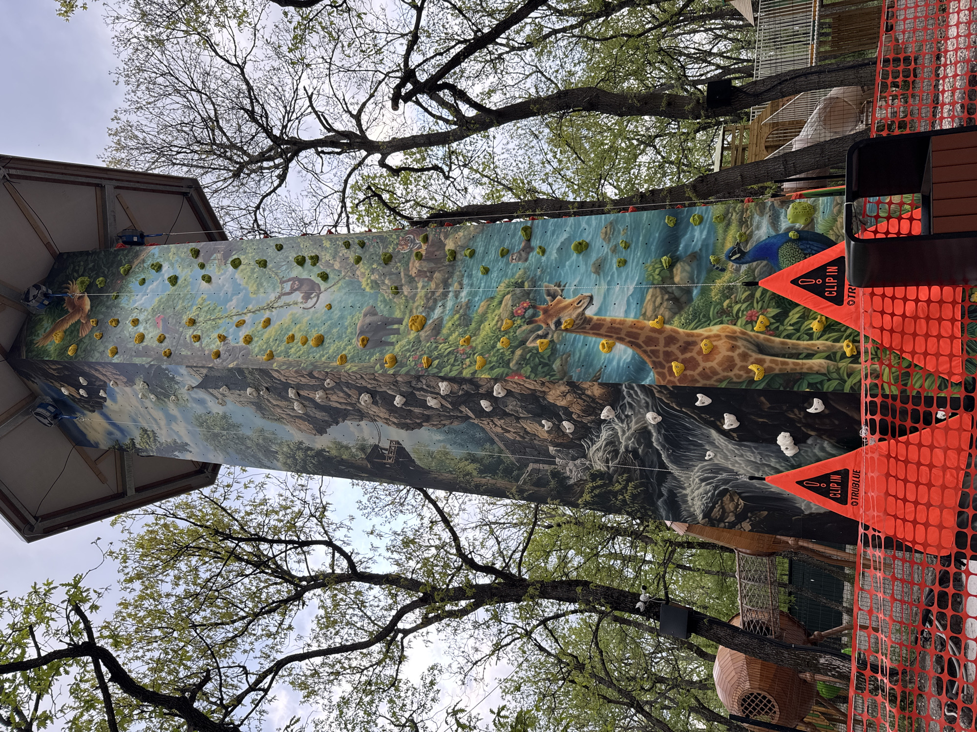 Mural-decorated climbing wall spotted in Haskovo tree grove