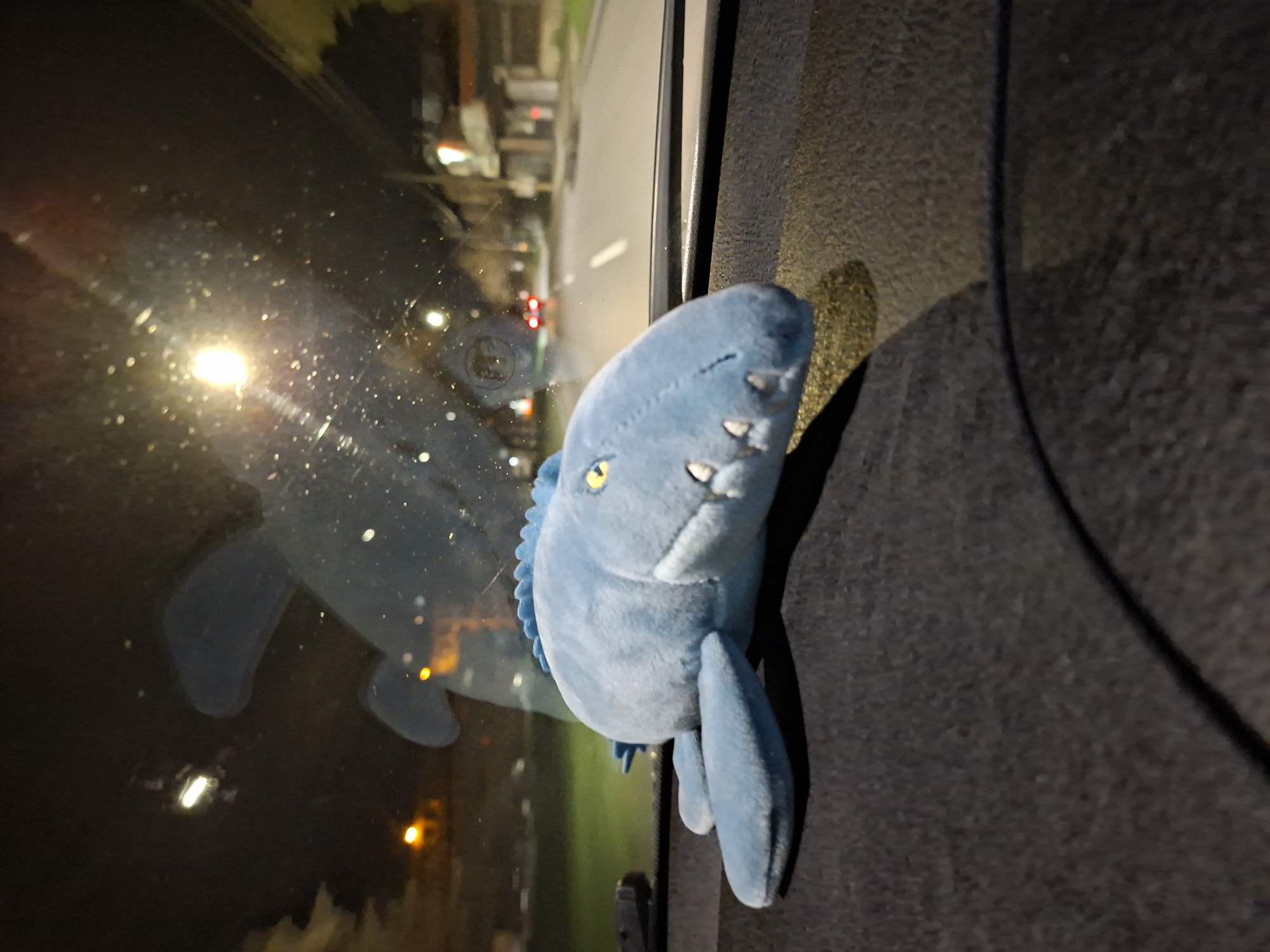 Evening moments captured in Pazardzhik: toys, music, friends