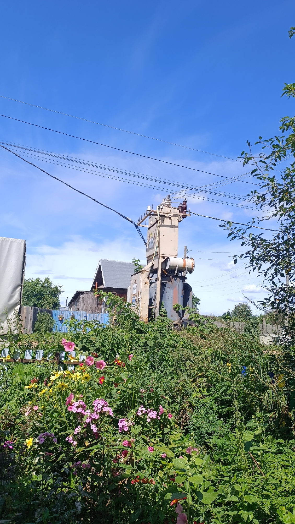 Backyard garden in Karsha, Russia — flowers, fences, and old infrastructure