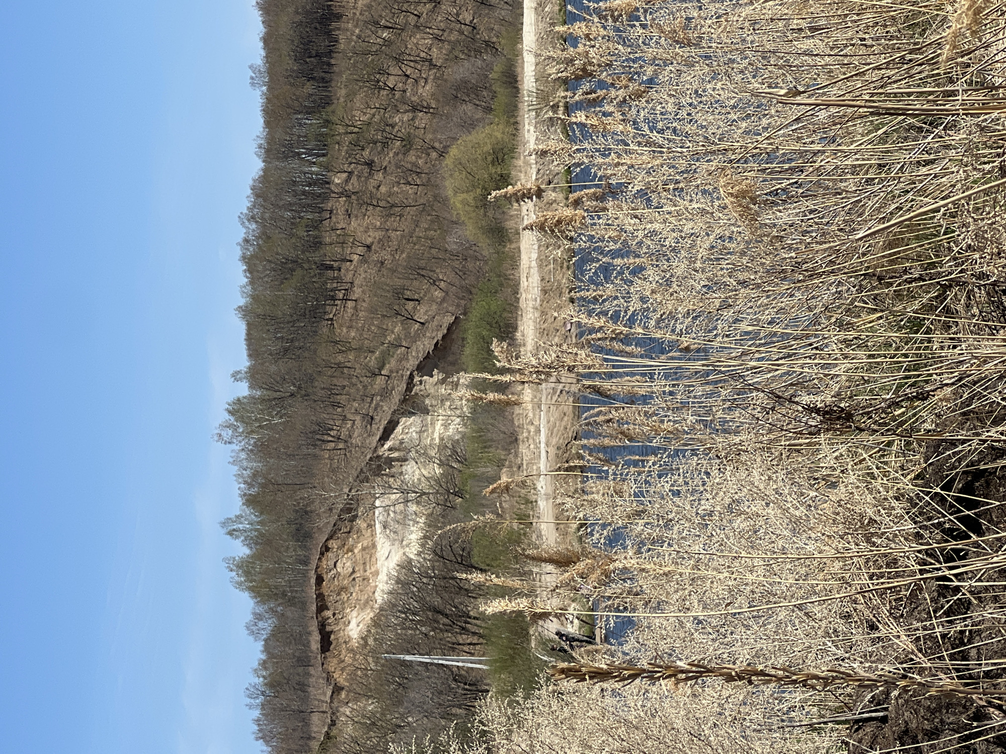 Woman photographs scenic roadside location during early morning outing